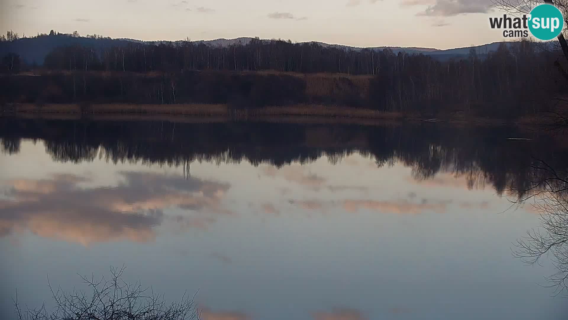 Live Webcam Kočevje lake