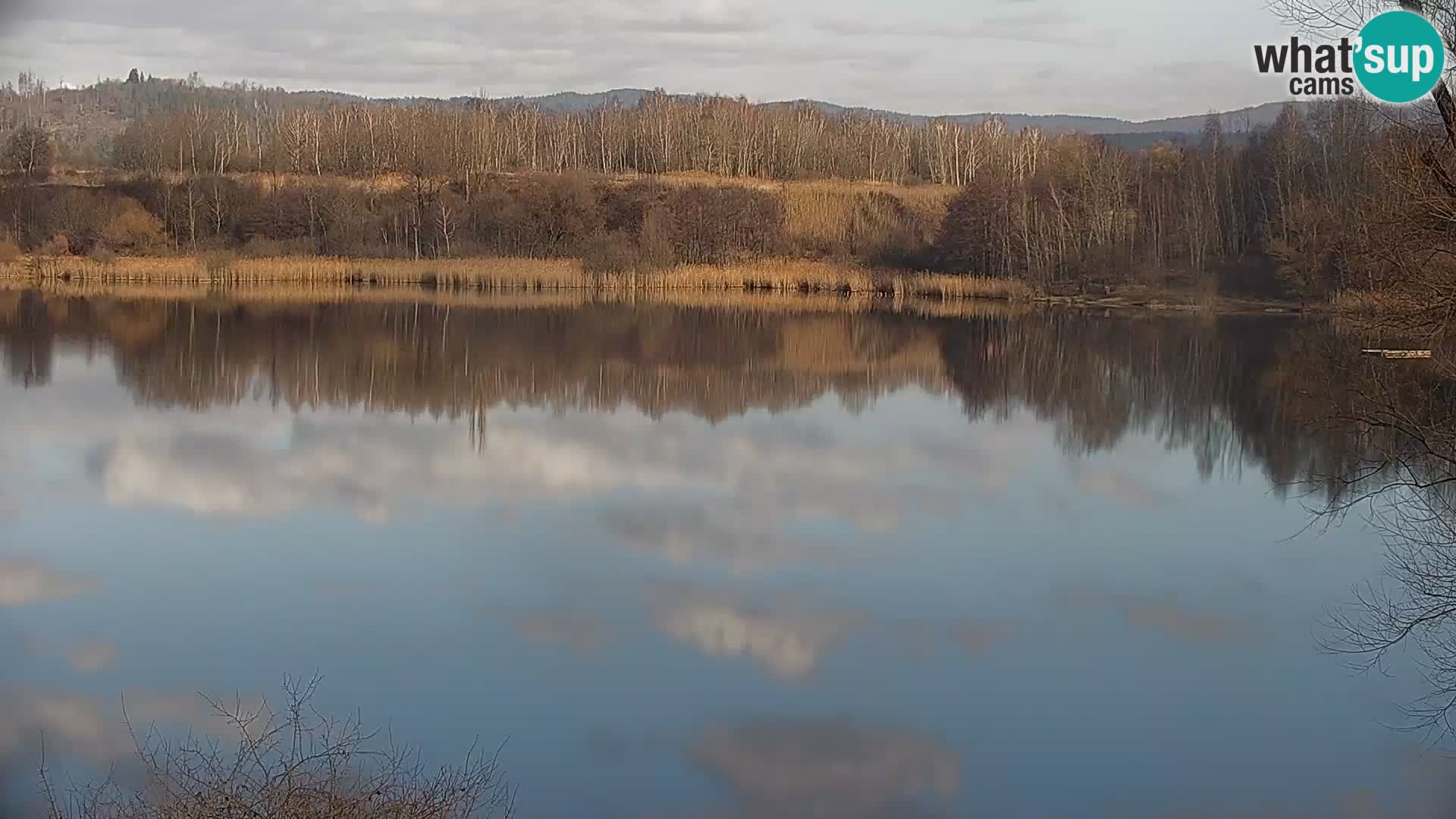 Live Webcam Kočevje-See – Slowenien