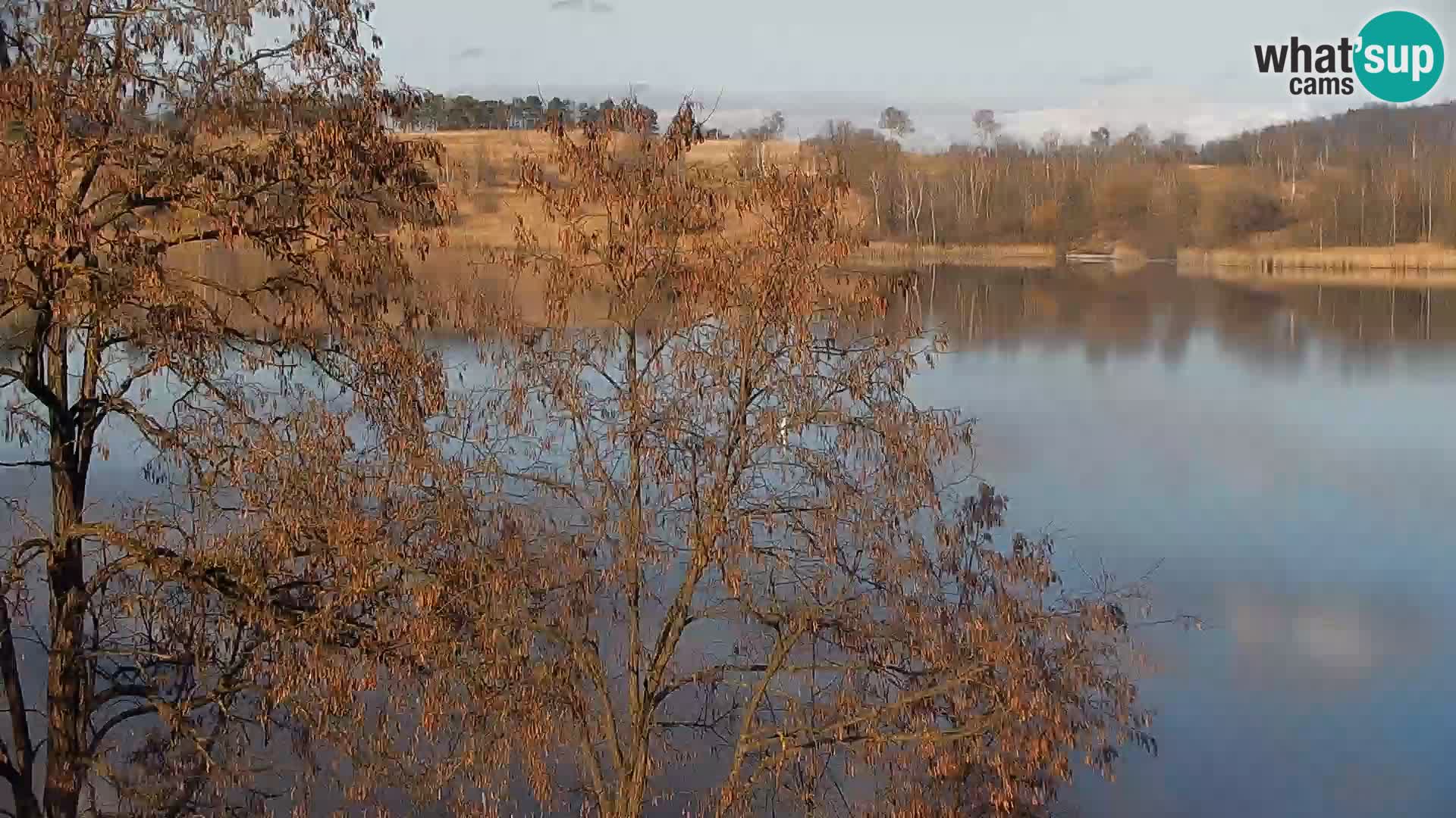 Livecam Lac Kočevje