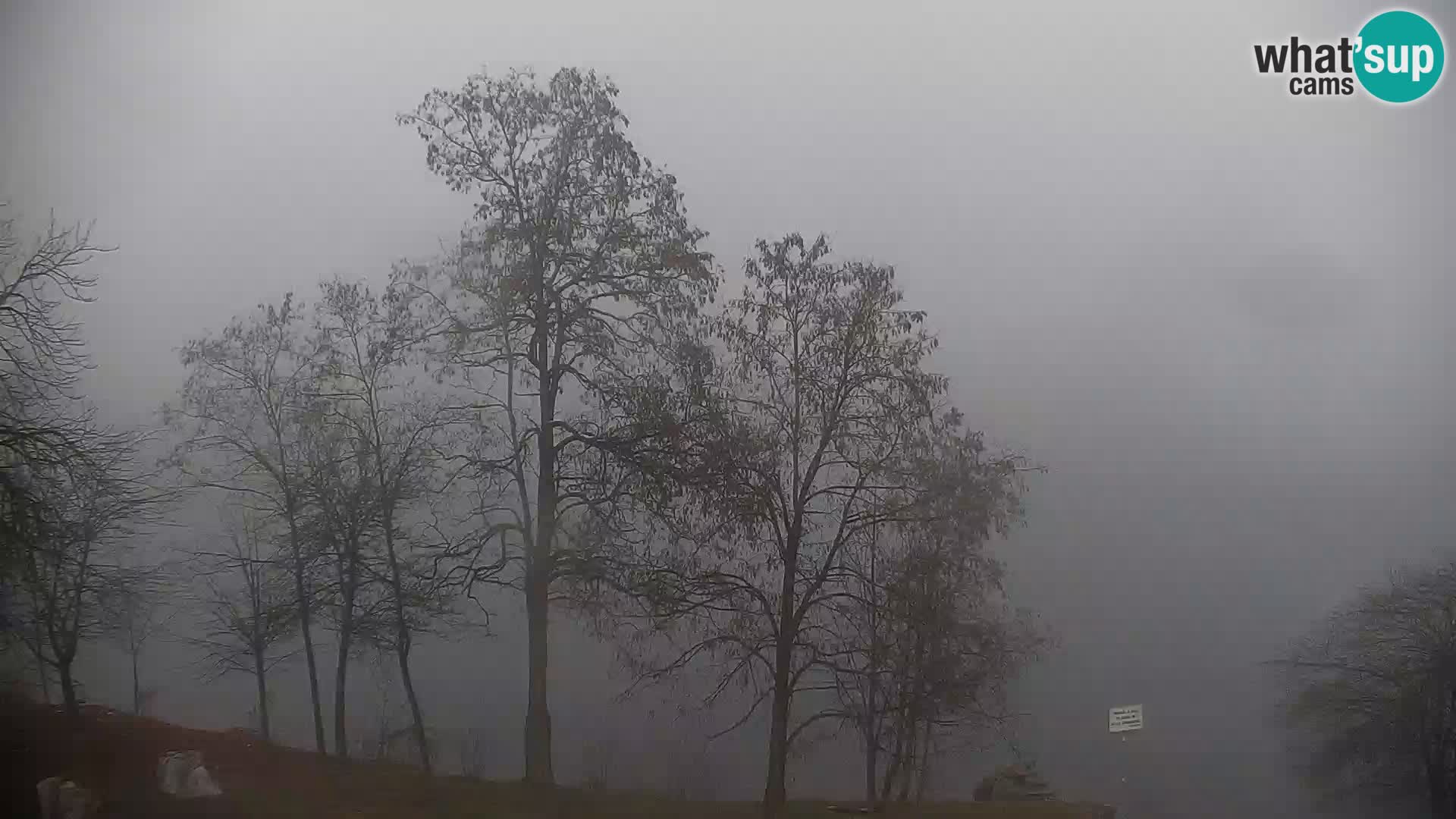 Live Webcam lago di Kočevje – Slovenia