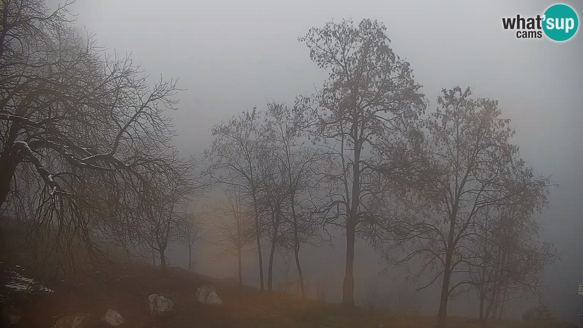 Live Webcam lago di Kočevje – Slovenia