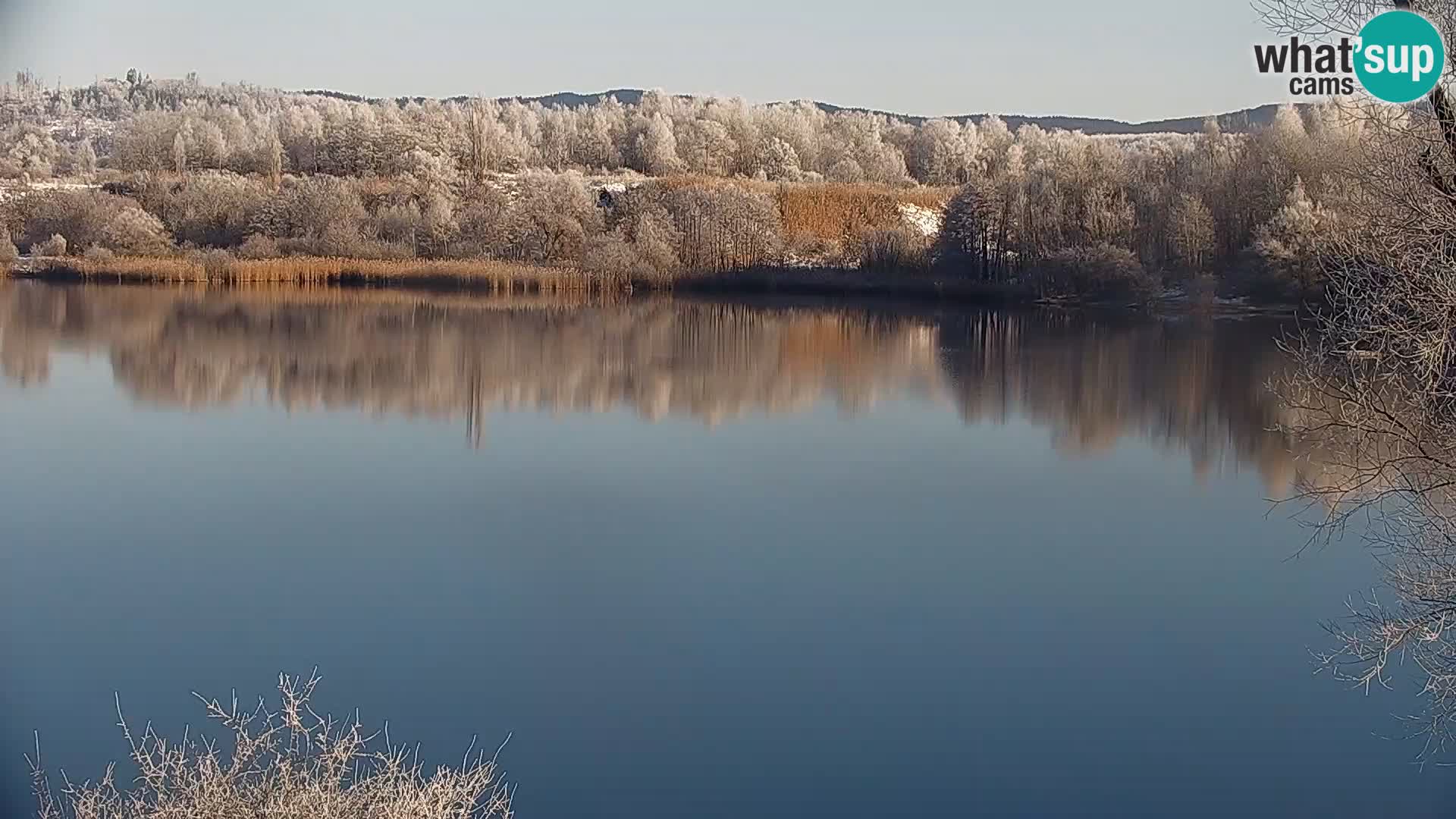 Kamera v živo Kočevsko jezero