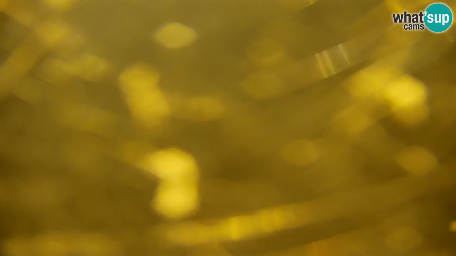 Live Webcam Kočevje lake