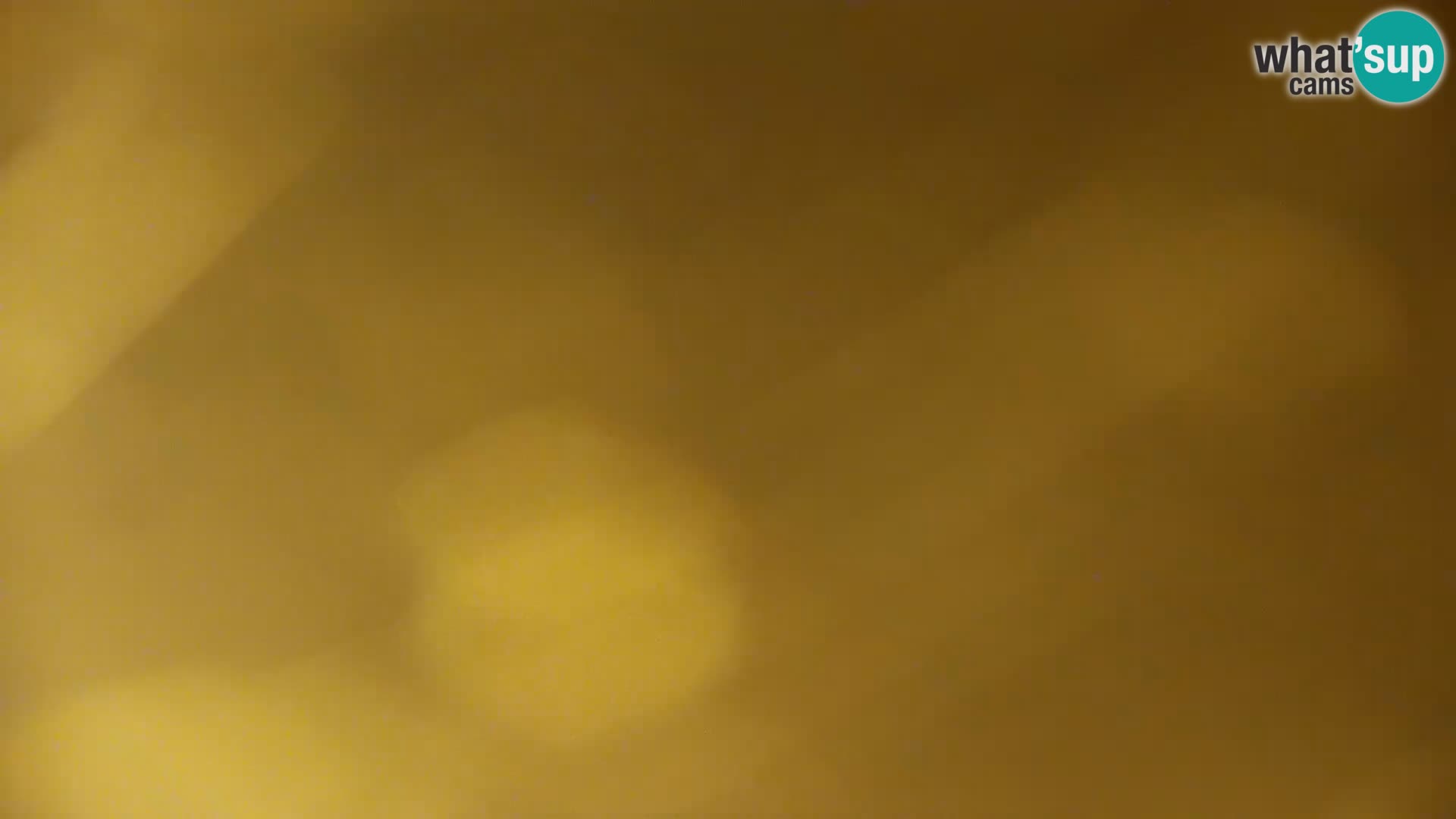 Live Webcam Kočevje lake