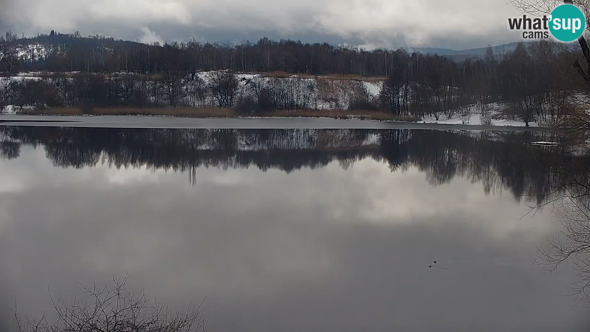 Camera en vivo Lago Kočevje