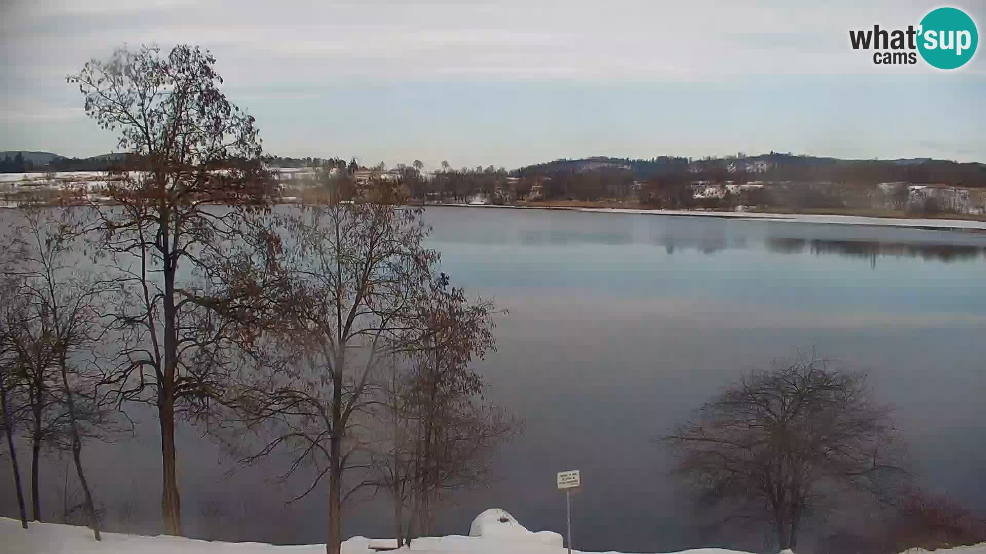Camera en vivo Lago Kočevje