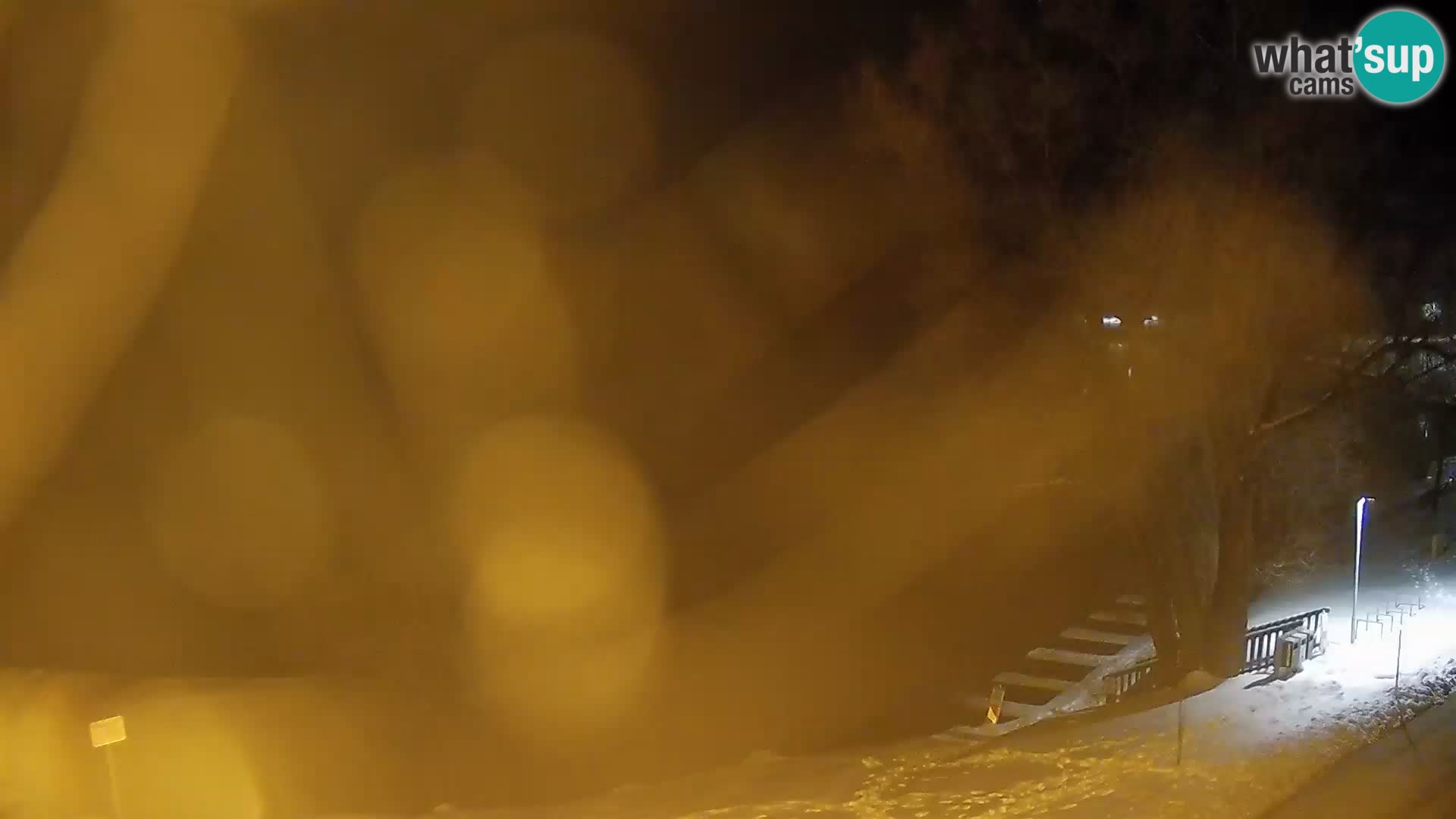 Livecam Lac Kočevje