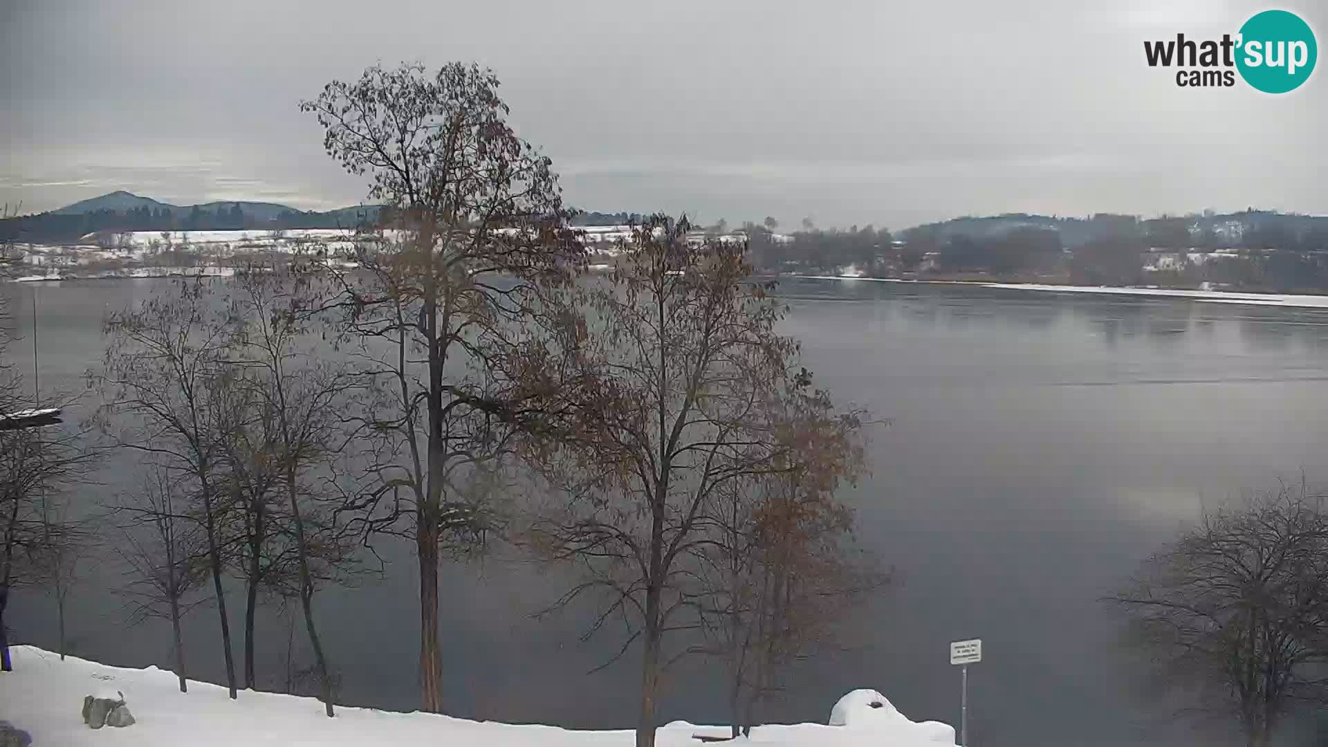 Camera en vivo Lago Kočevje