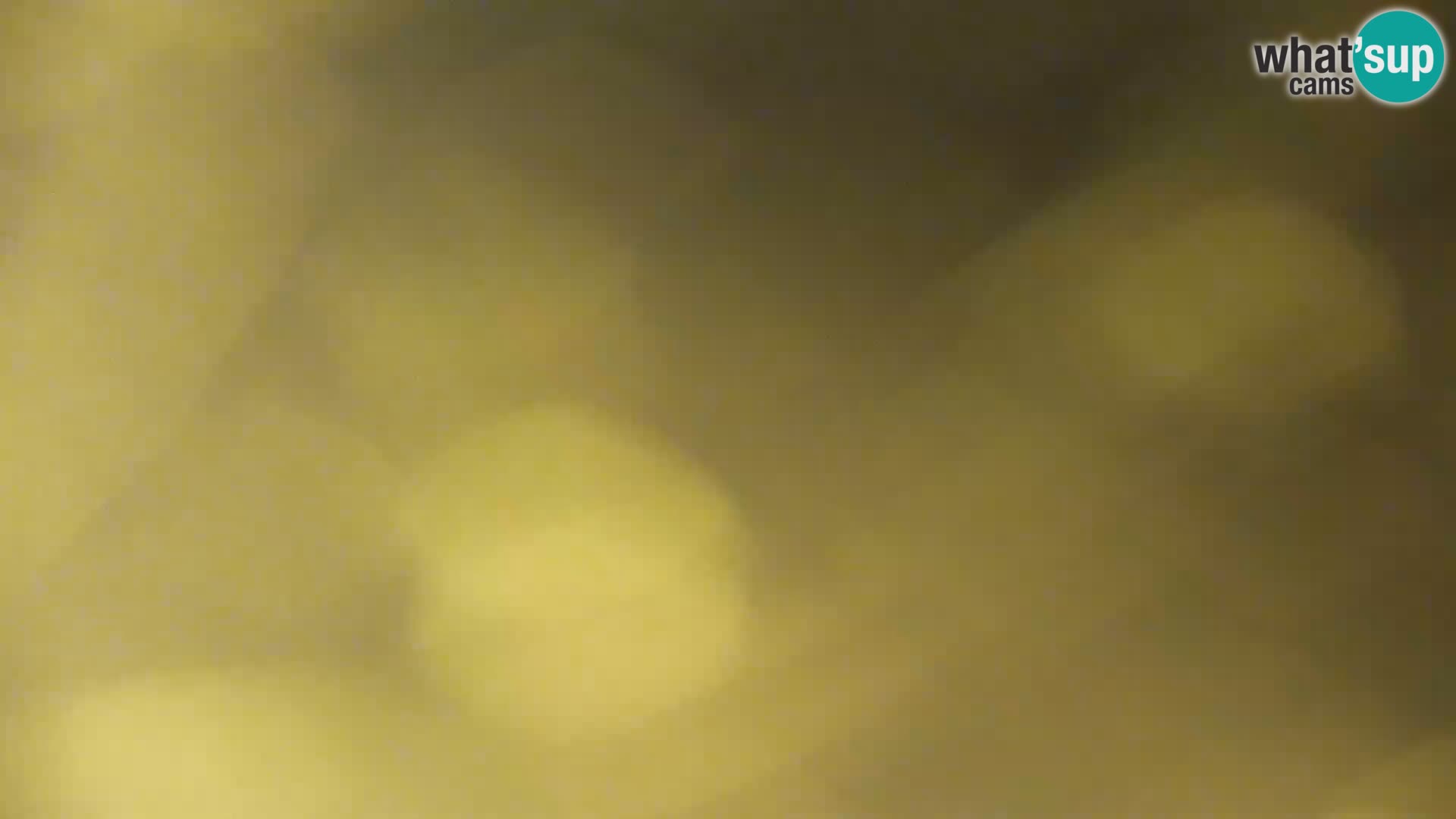 Live Webcam Kočevje lake