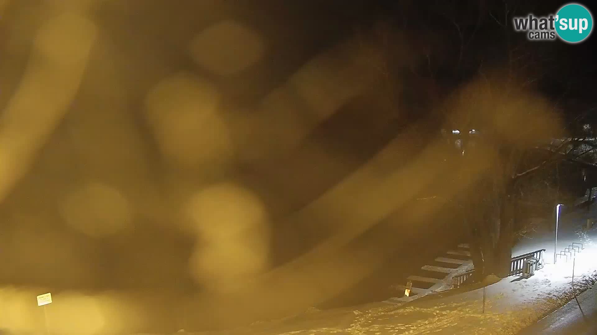 Livecam Lac Kočevje