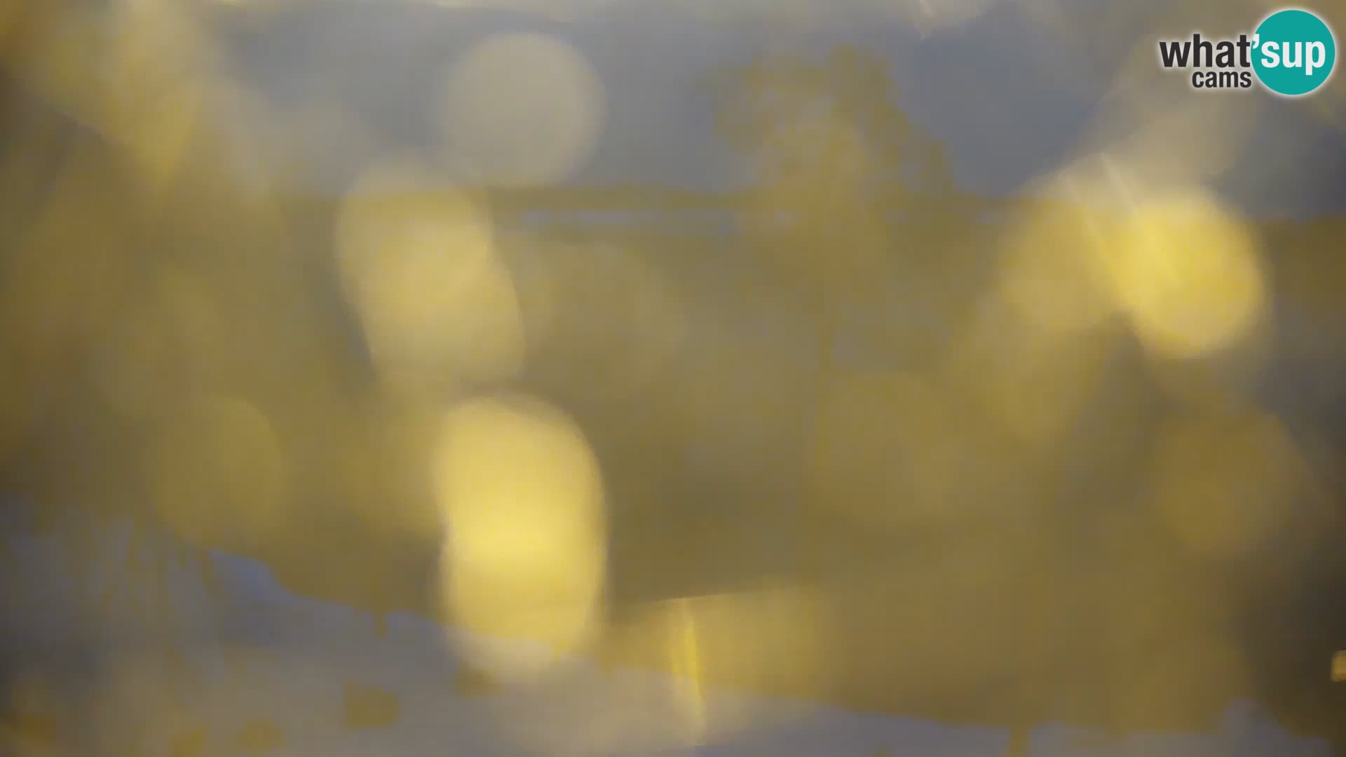 Kamera v živo Kočevsko jezero