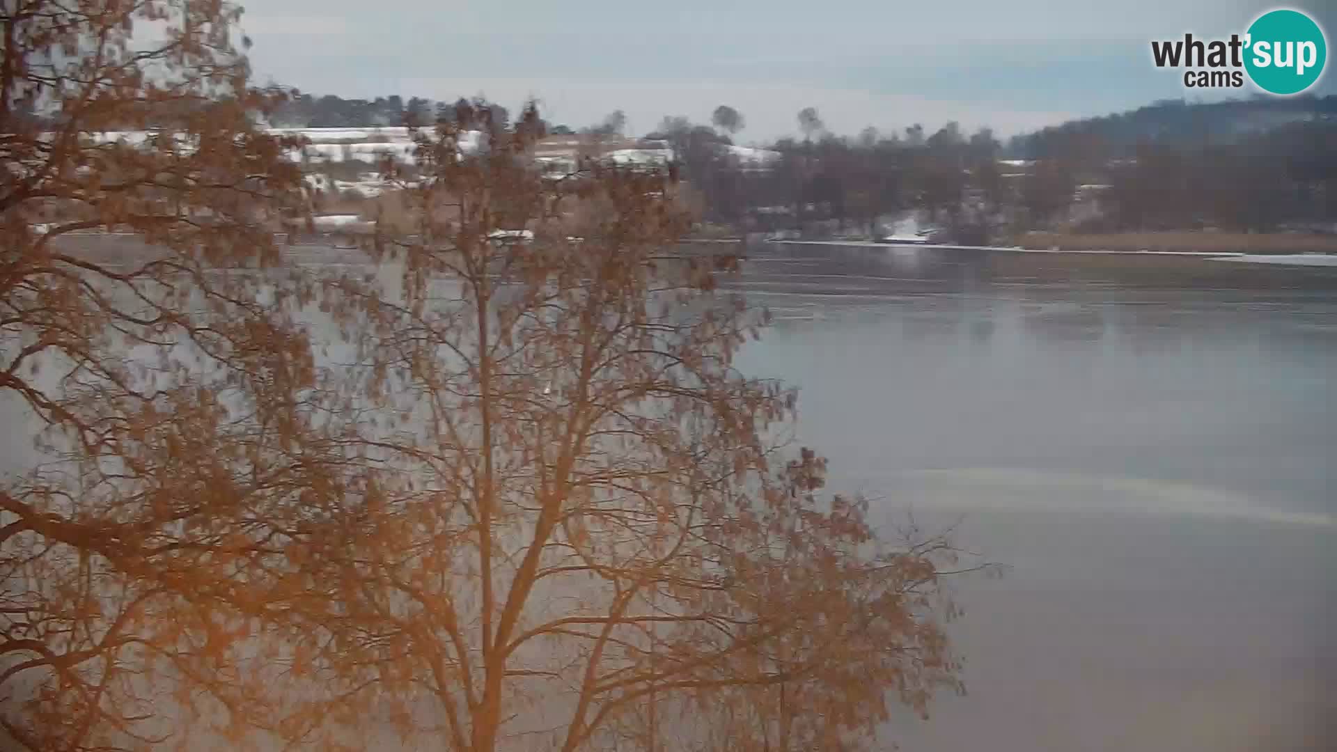Live Webcam lago di Kočevje – Slovenia