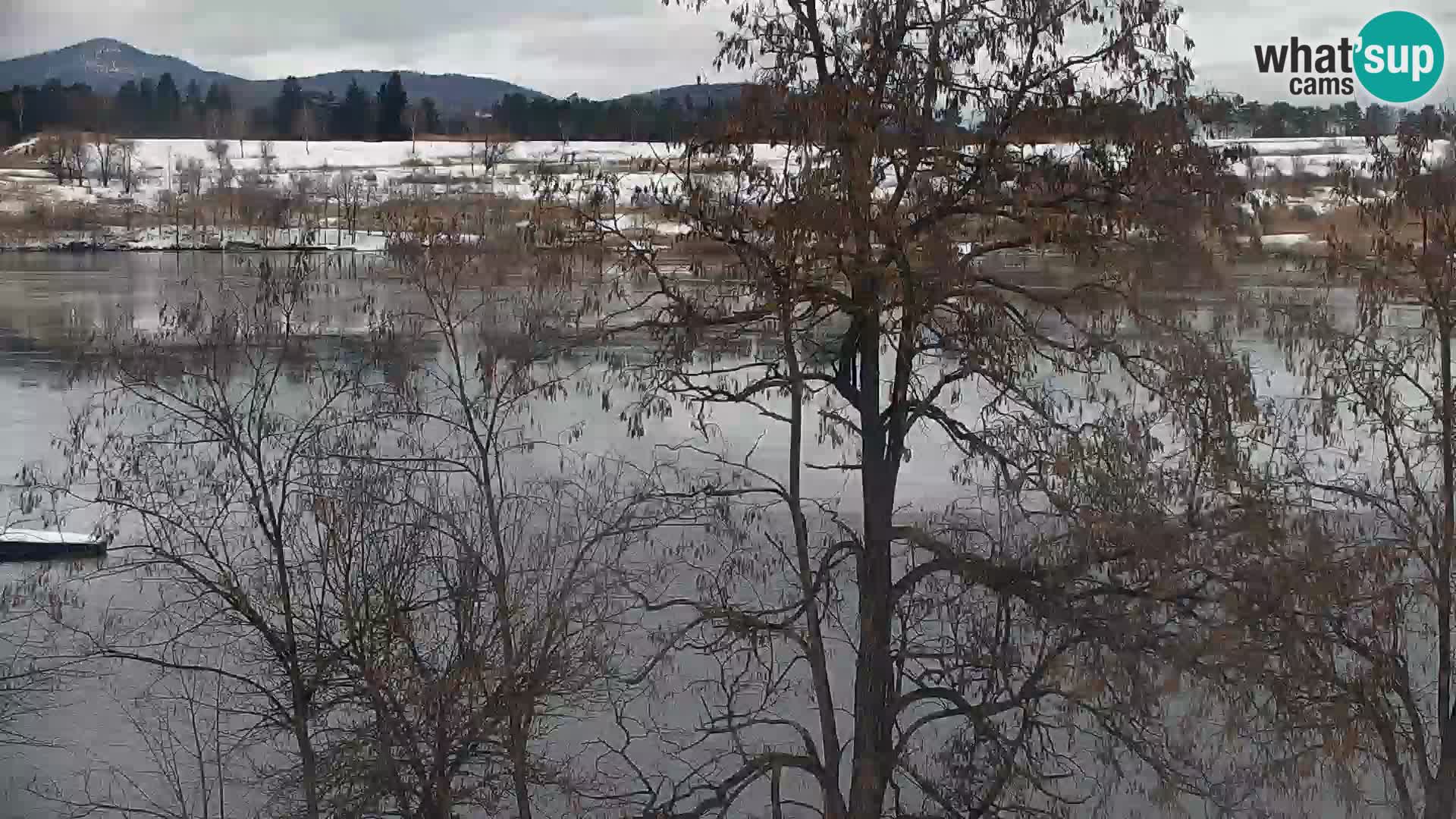 Camera en vivo Lago Kočevje
