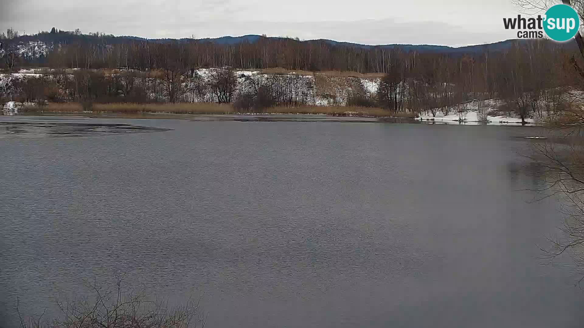 Live Webcam Kočevje lake