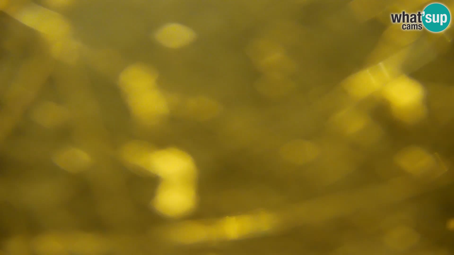 Live Webcam Kočevje-See – Slowenien