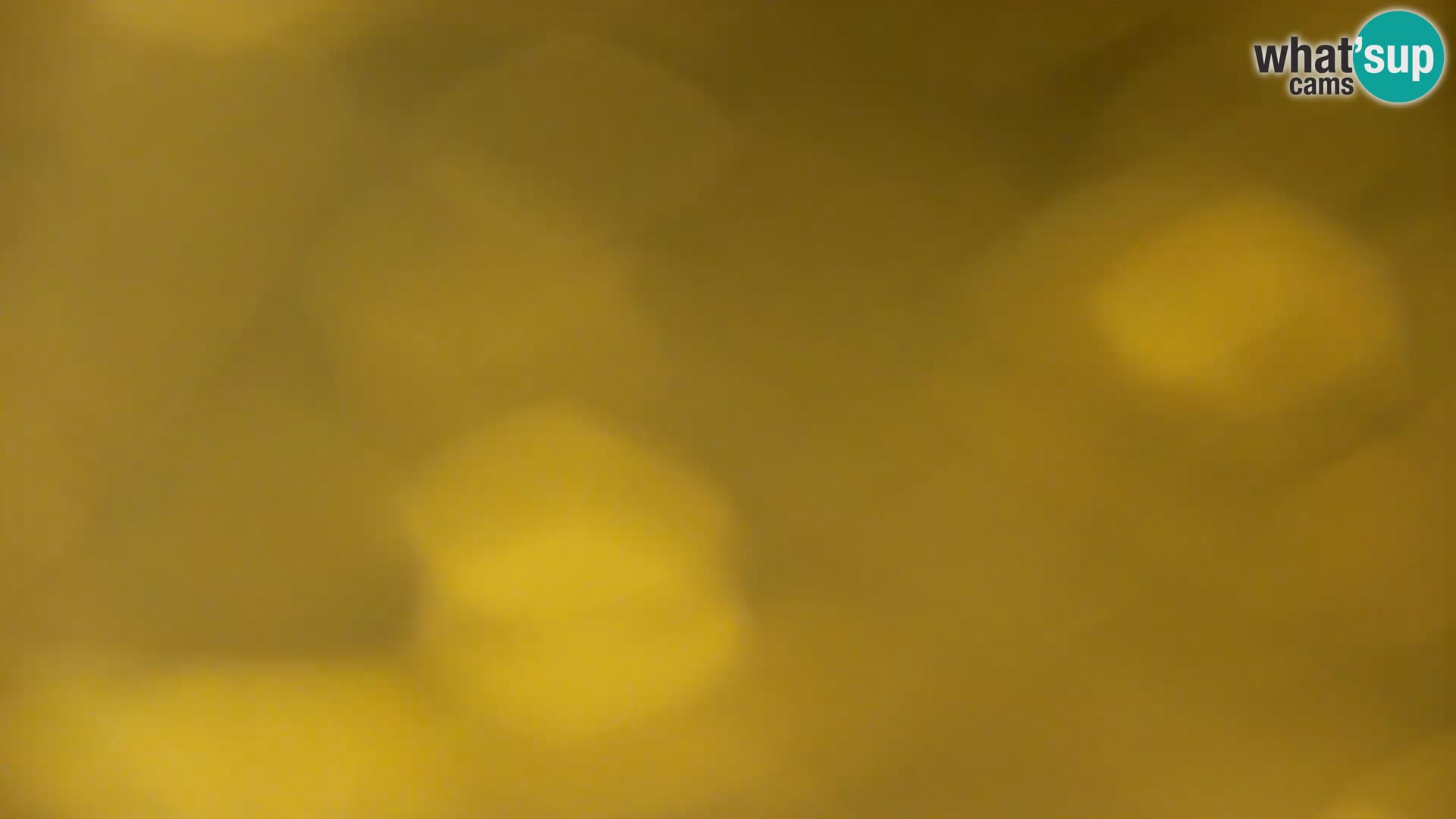 Web kamera Kočevje jezero – Slovenija