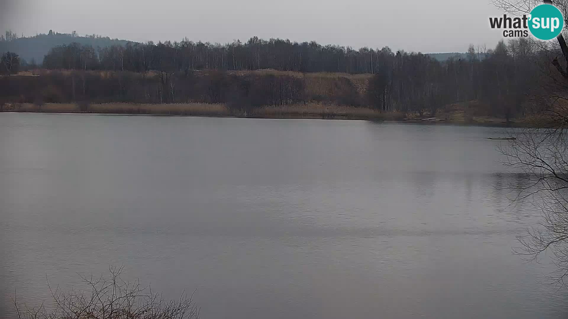 Camera en vivo Lago Kočevje