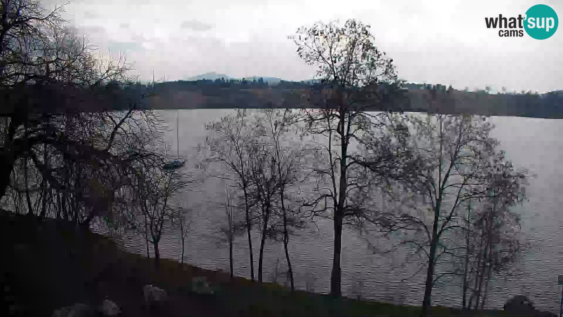 Kamera v živo Kočevsko jezero