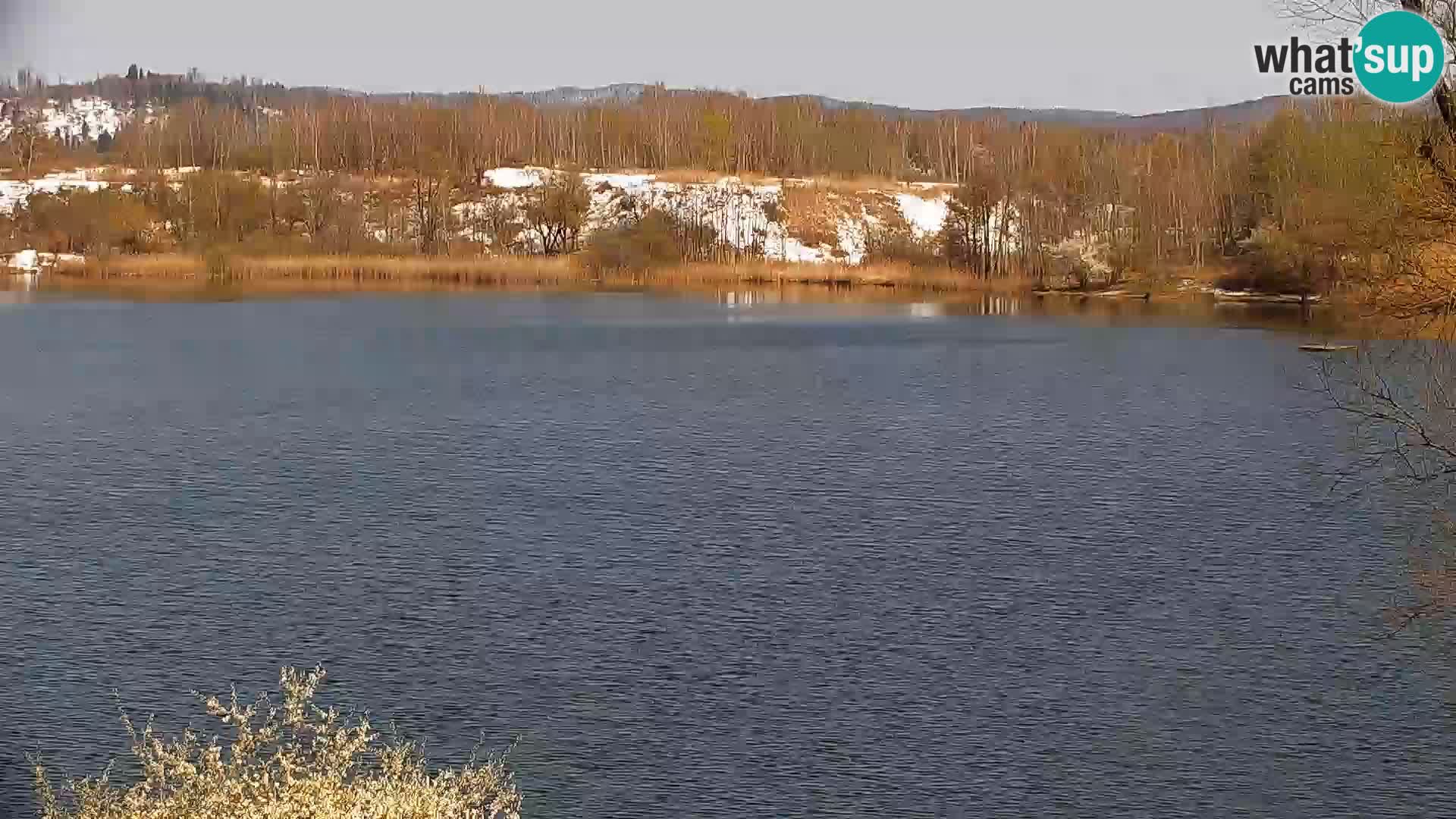Live Webcam lago di Kočevje – Slovenia