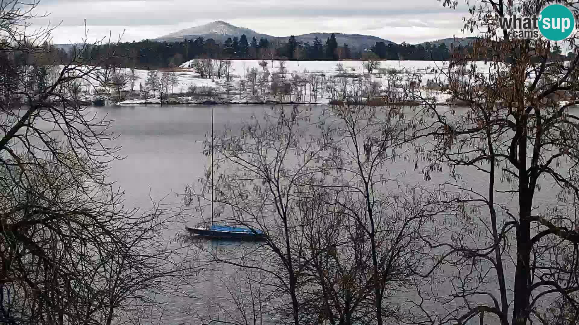 Live Webcam Kočevje lake