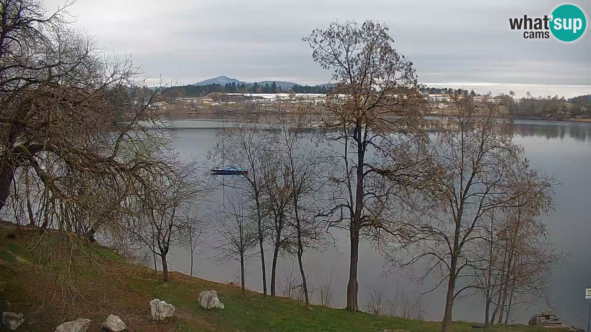 Kamera v živo Kočevsko jezero