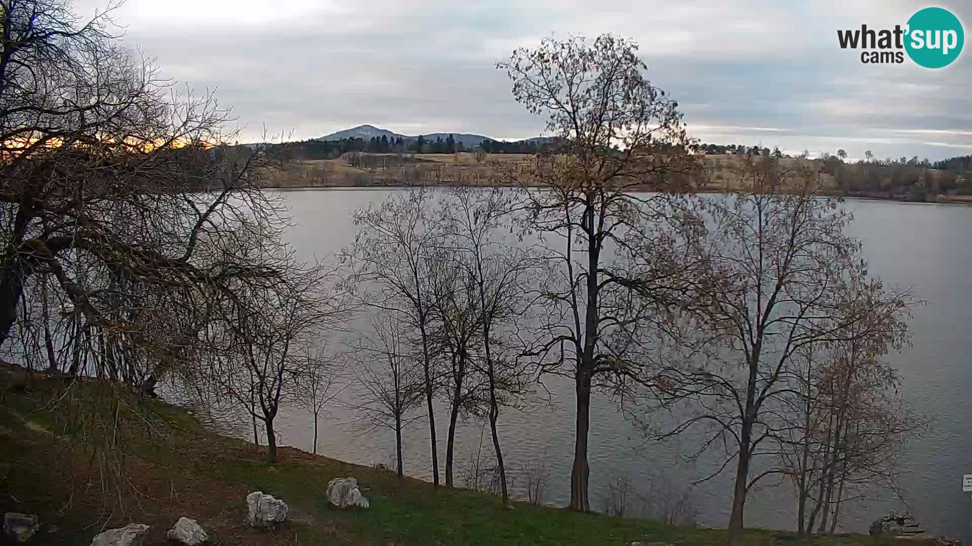 Web kamera Kočevje jezero – Slovenija