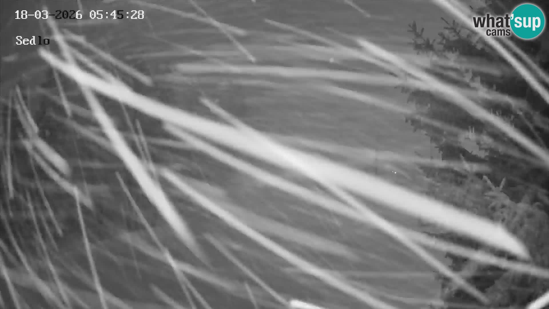 Ski Resort Kope | Sedlo