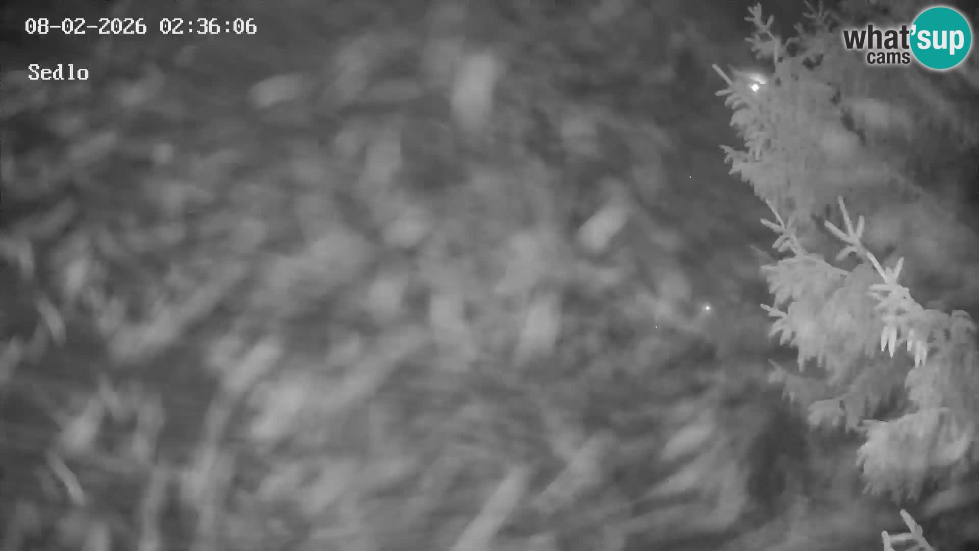 Estación de esquí de Kope | Sedlo