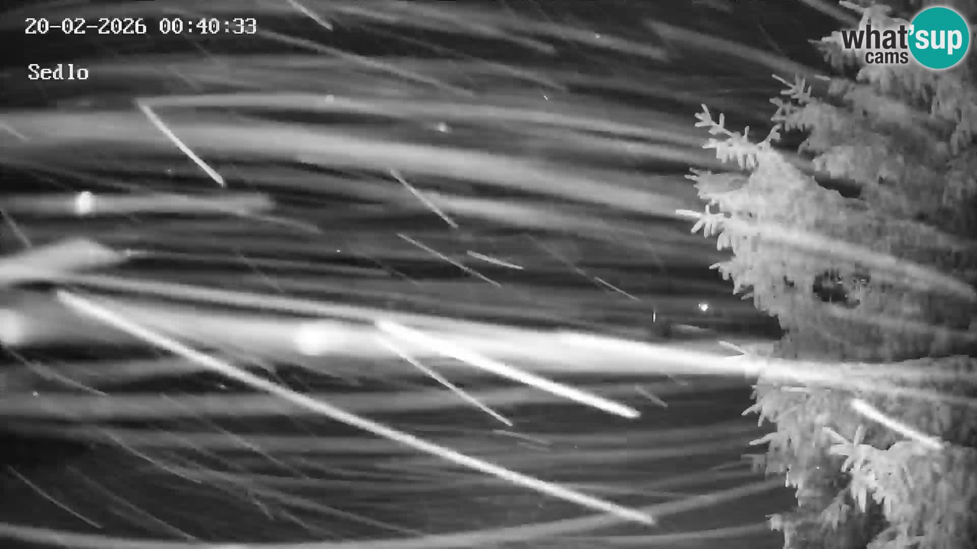 Stazione Sciistica Kope | Sedlo