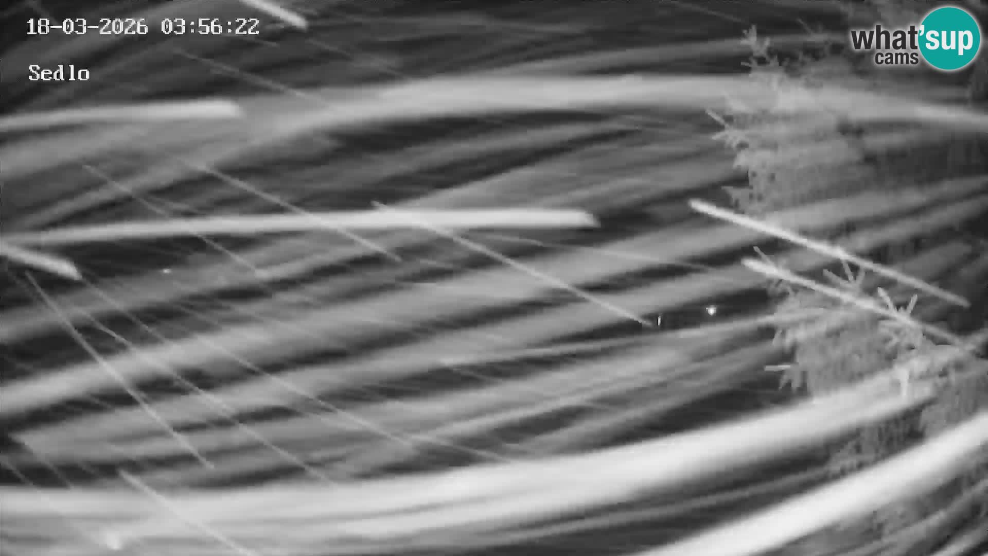 Ski Resort Kope | Sedlo