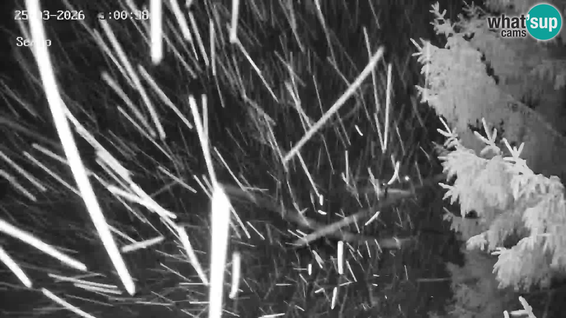 Ski Resort Kope | Sedlo