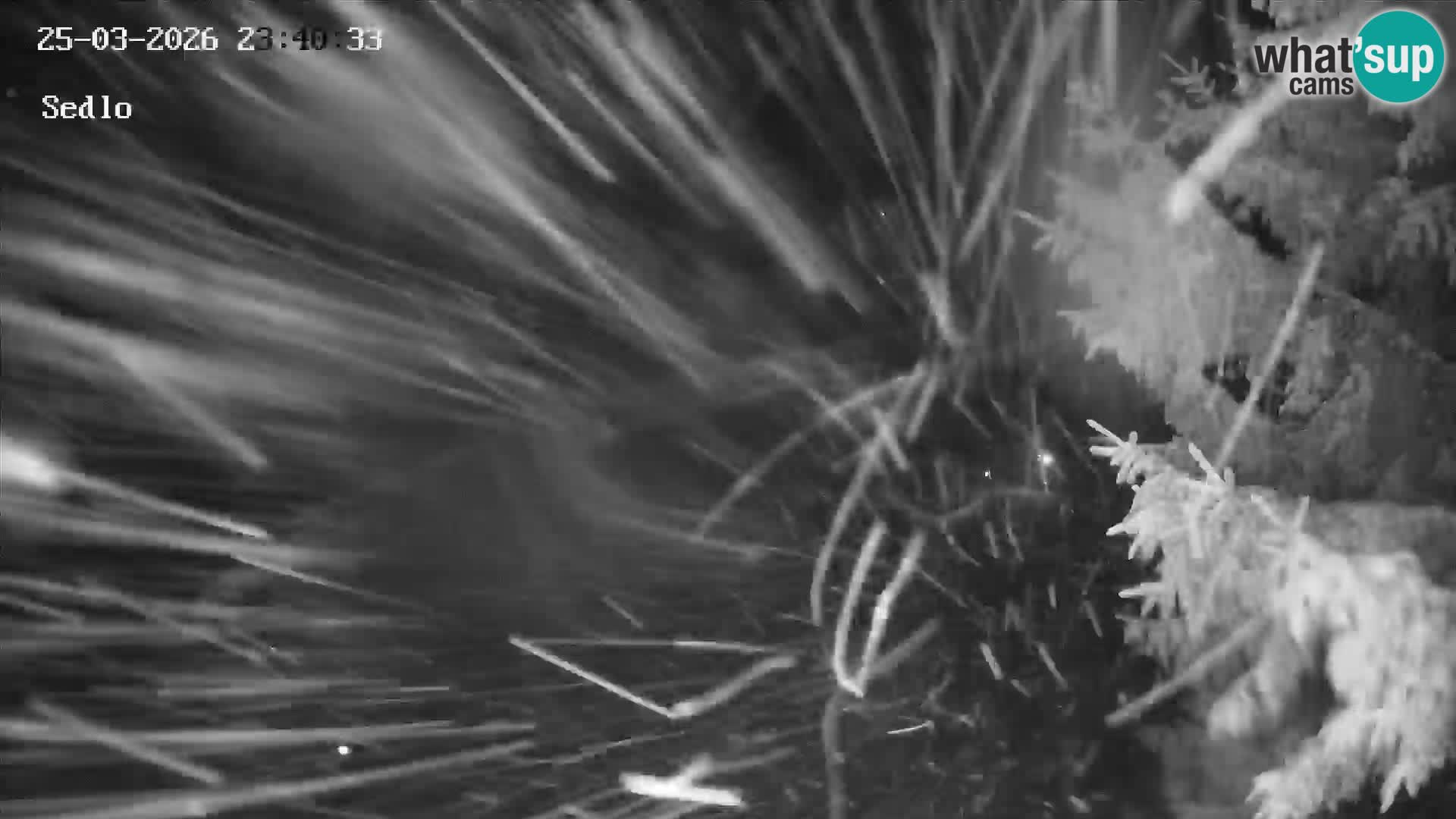 Ski Resort Kope | Sedlo