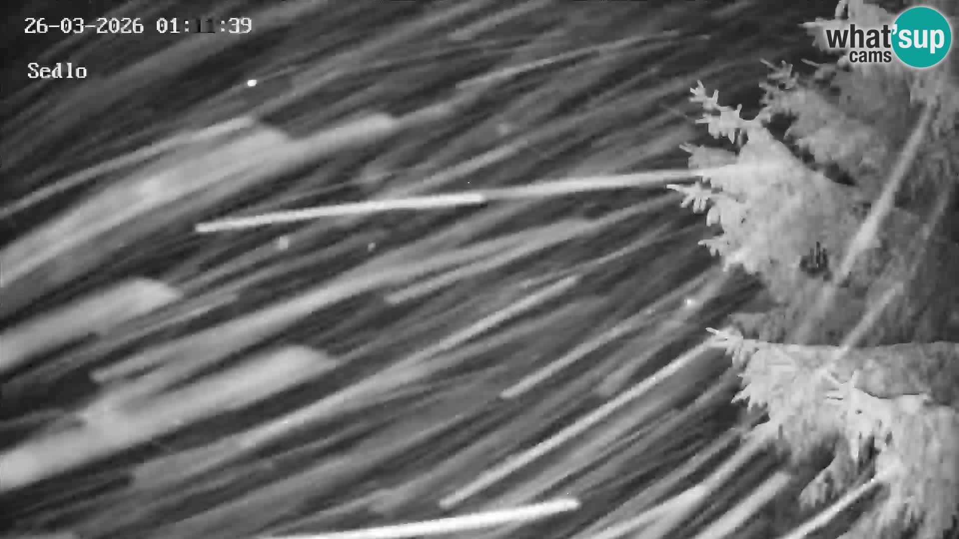 Smučarski center Kope | Sedlo