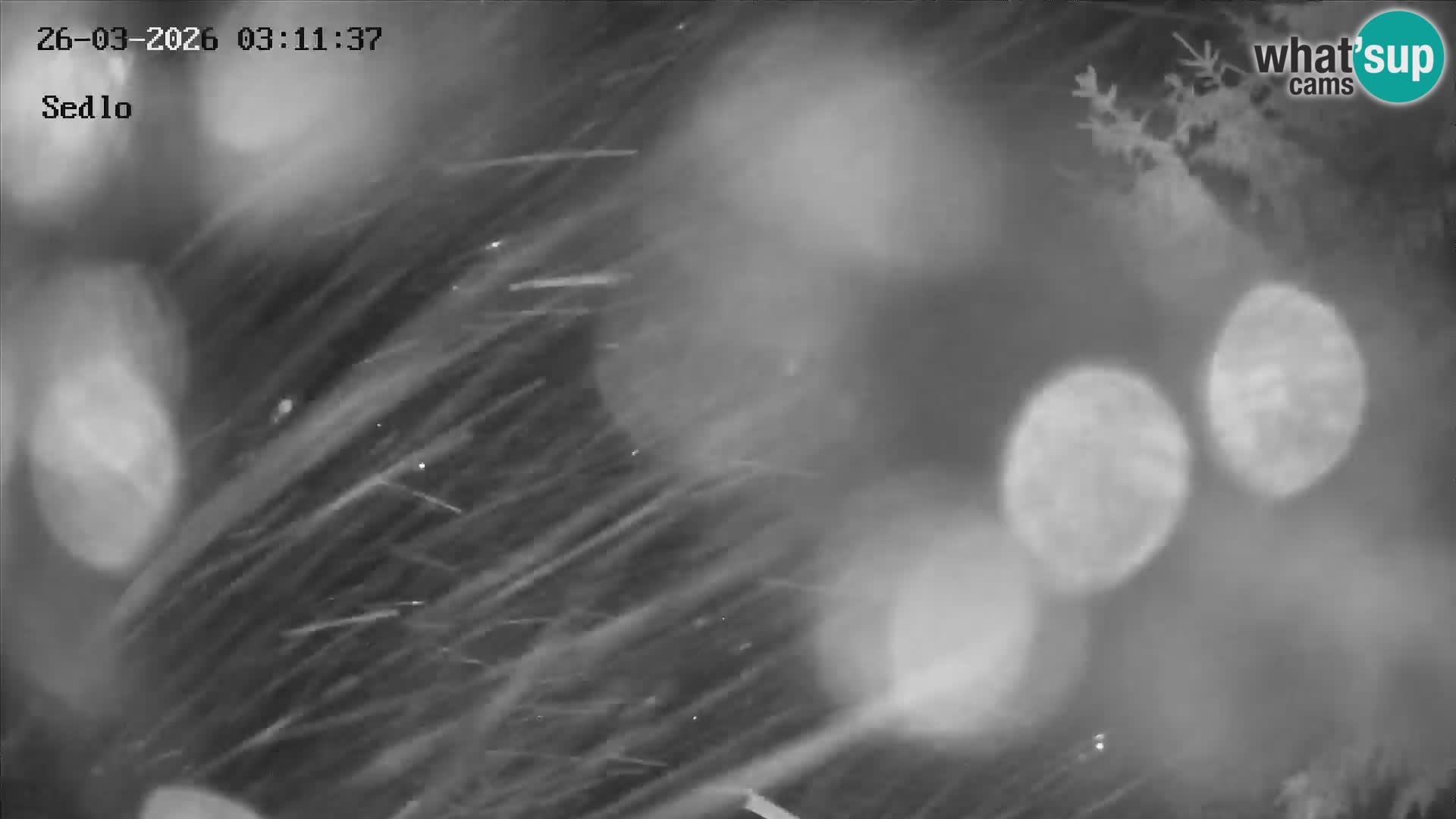 Estación de esquí de Kope | Sedlo