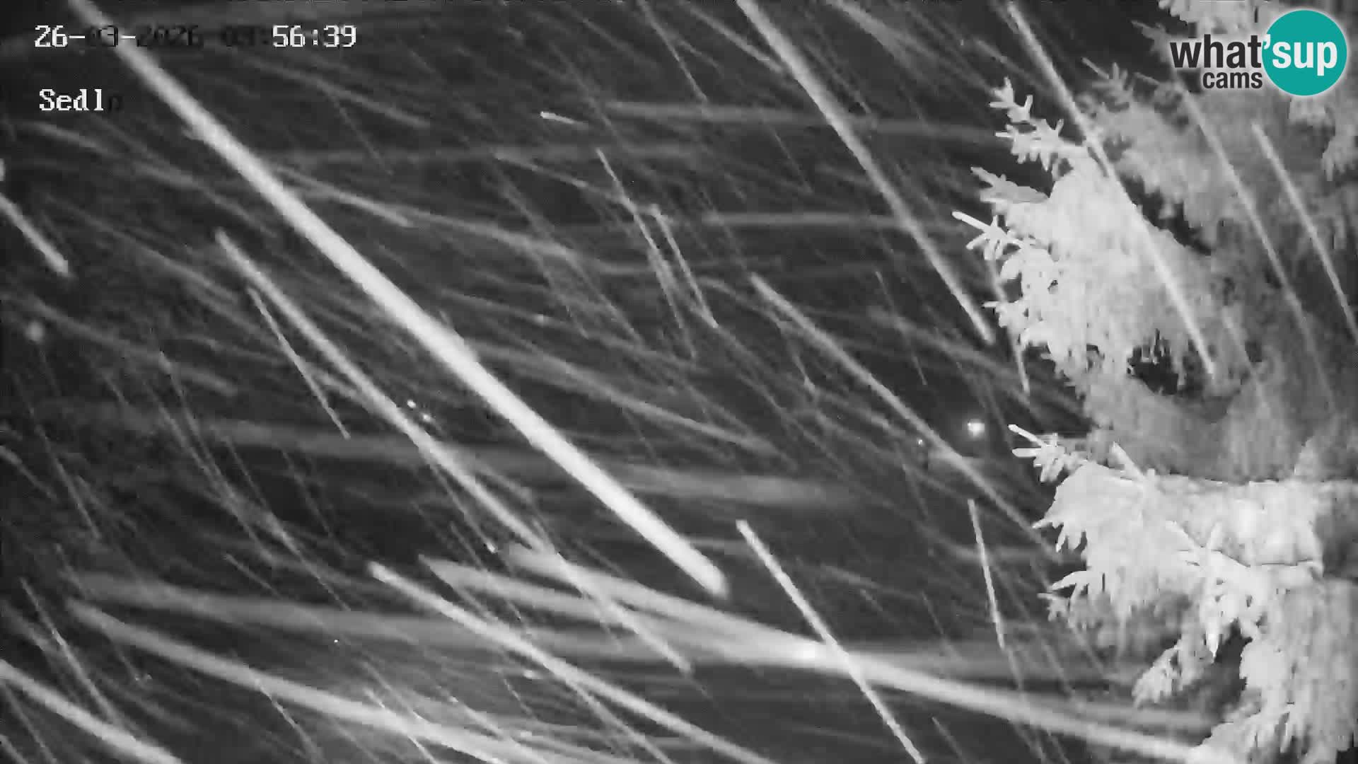 Stazione Sciistica Kope | Sedlo