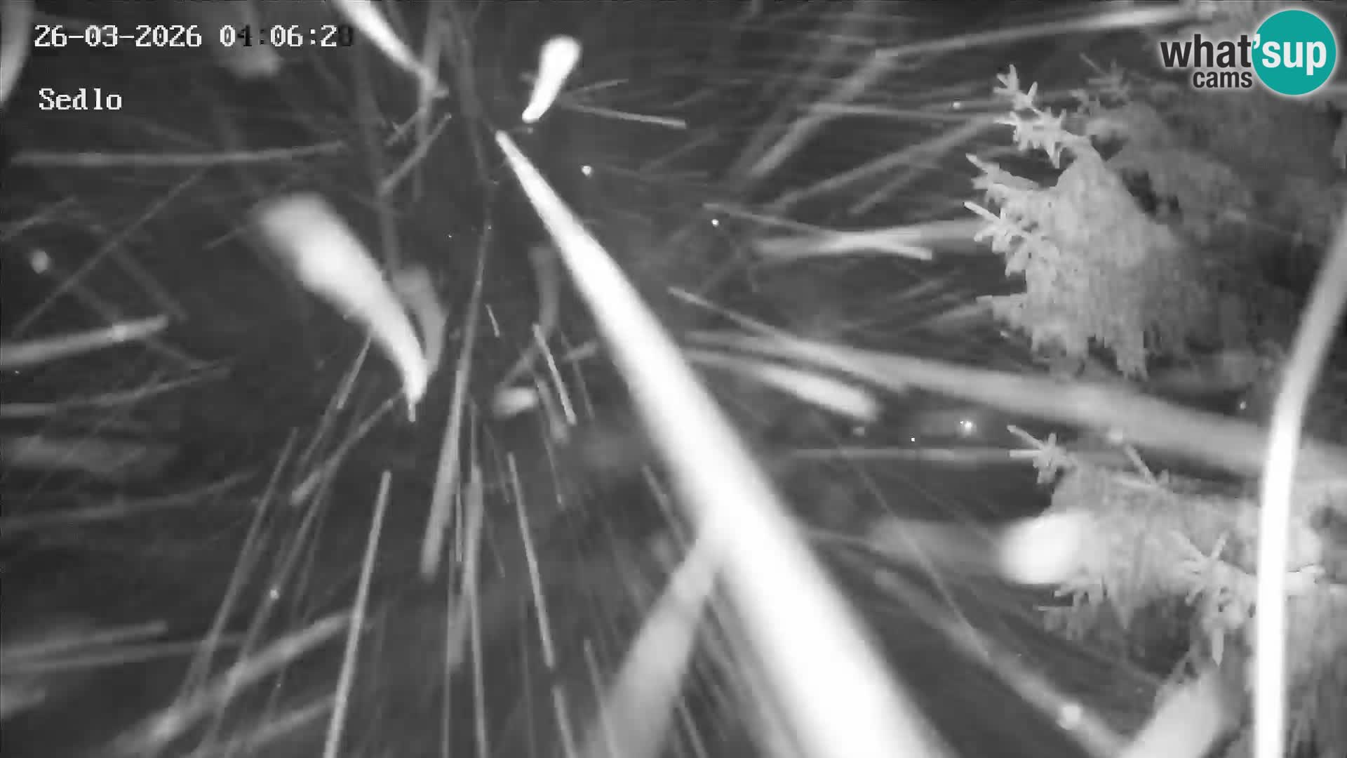 Stazione Sciistica Kope | Sedlo