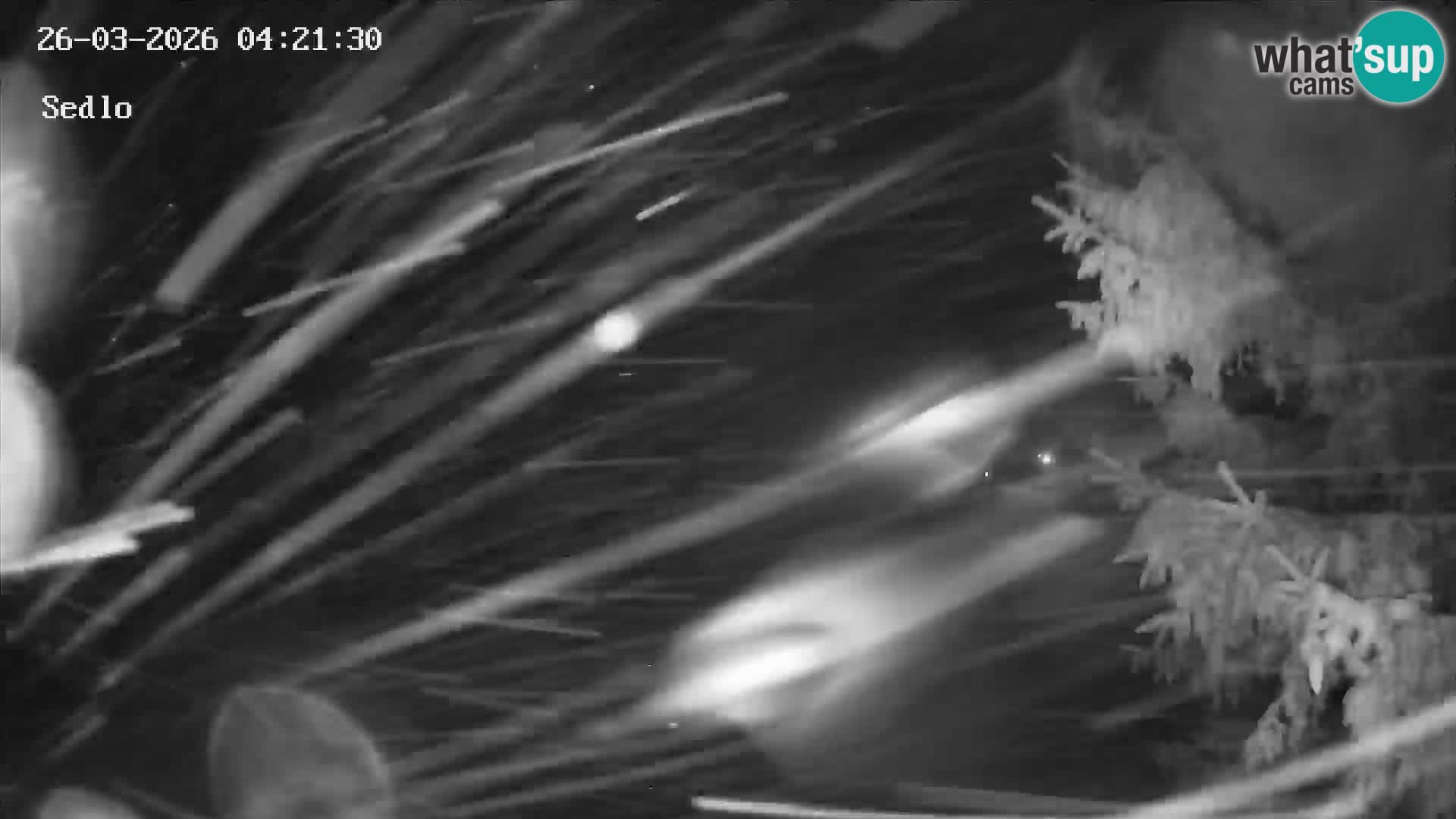 Stazione Sciistica Kope | Sedlo