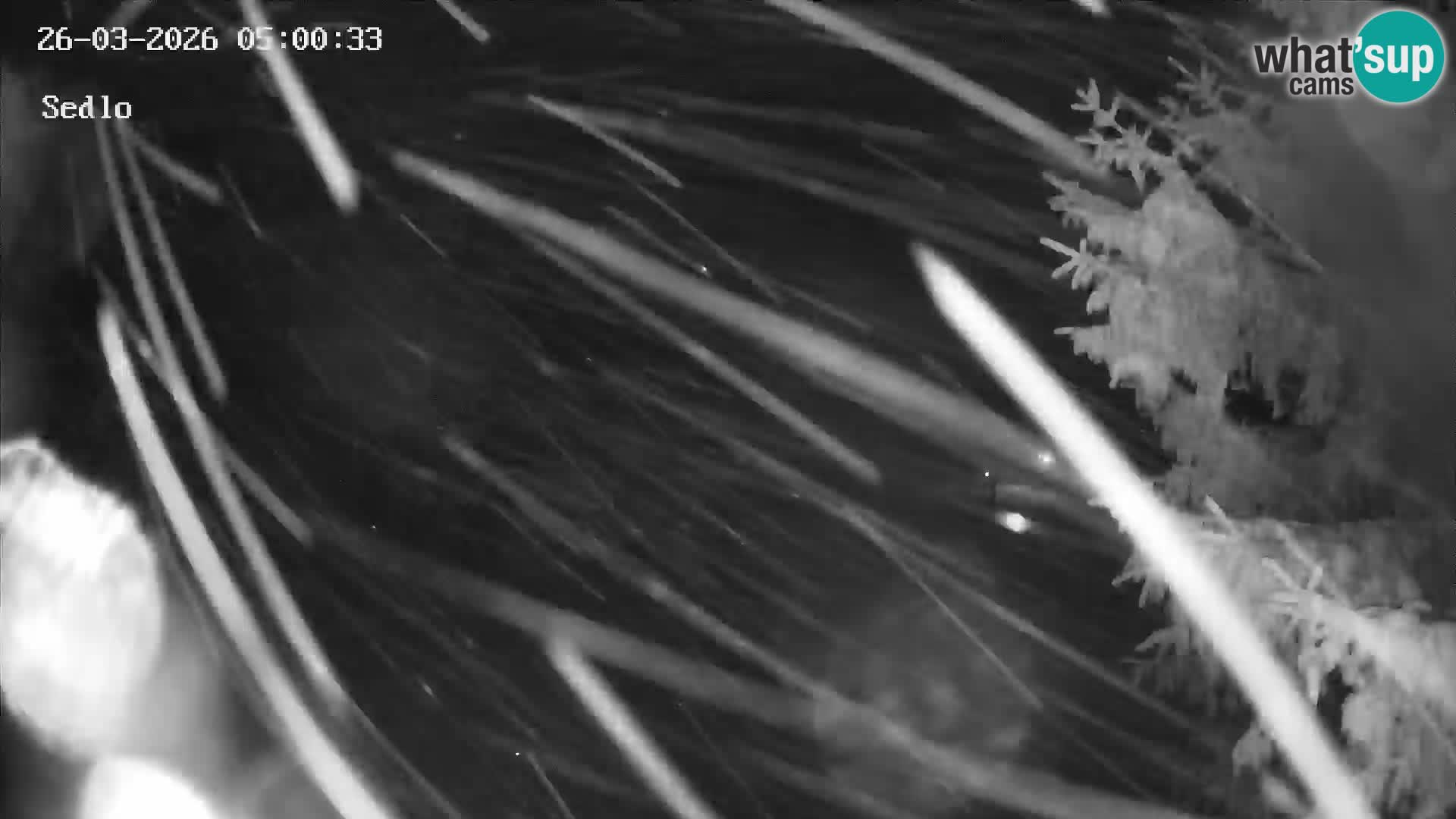 Skigebiet Kope | Sedlo