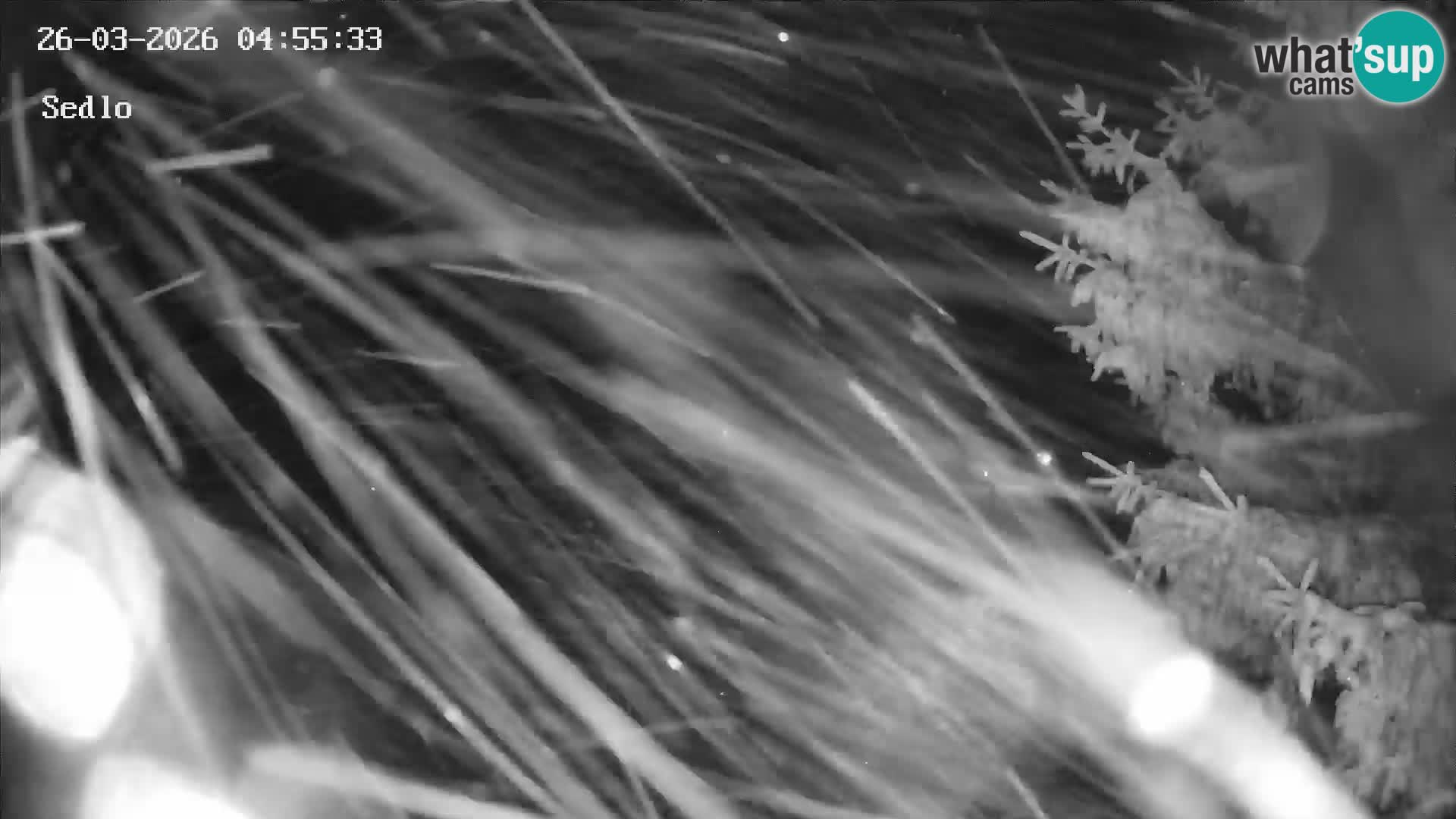 Station de ski de Kope | Sedlo