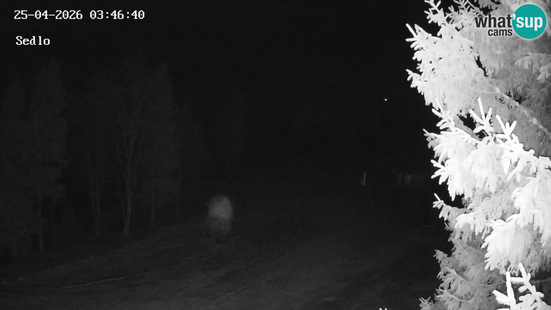 Estación de esquí de Kope | Sedlo