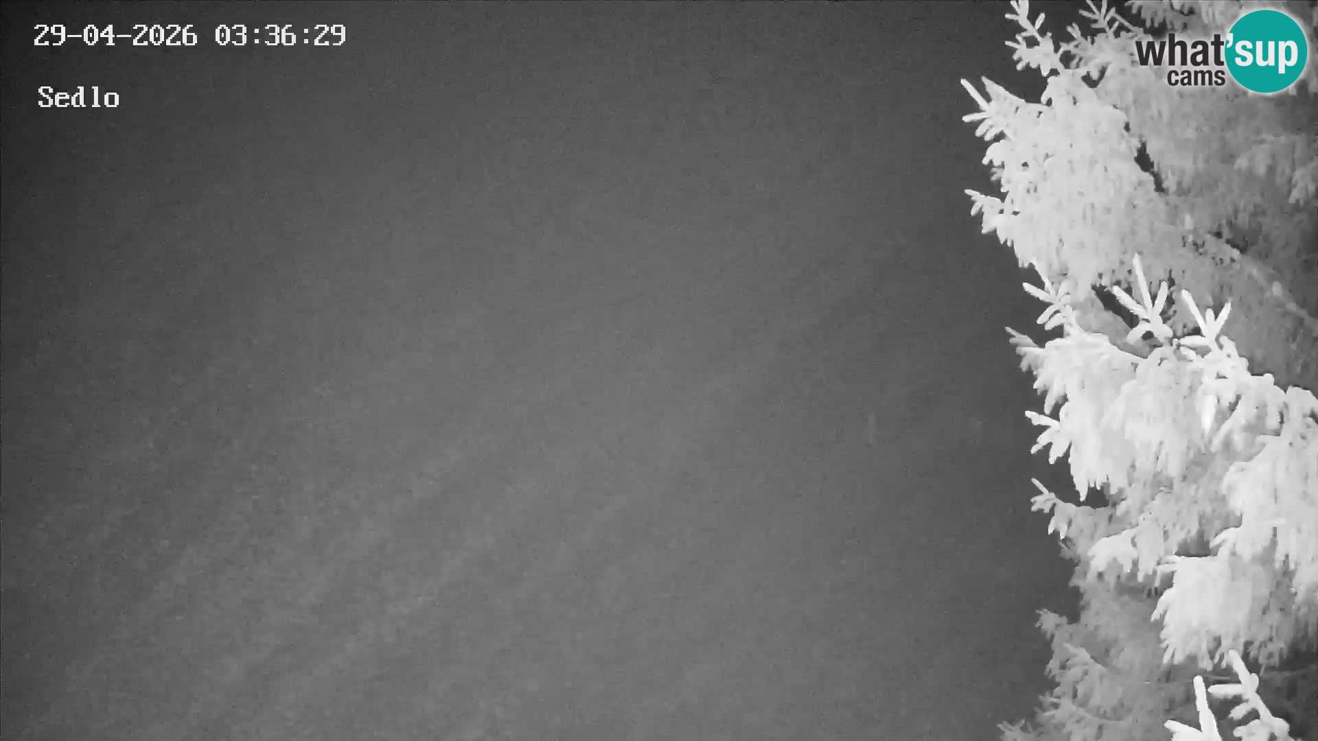 Stazione Sciistica Kope | Sedlo