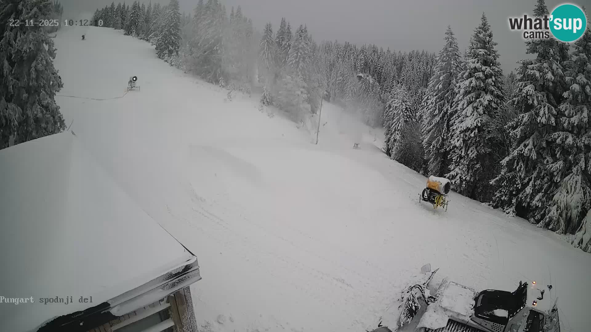 Spletna kamera Kope – Pungart v živo