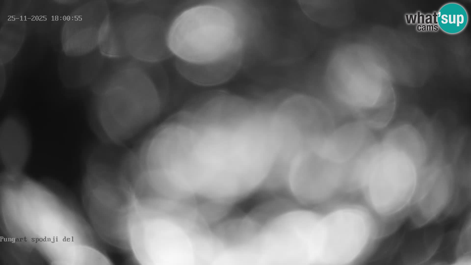 Spletna kamera Kope – Pungart v živo