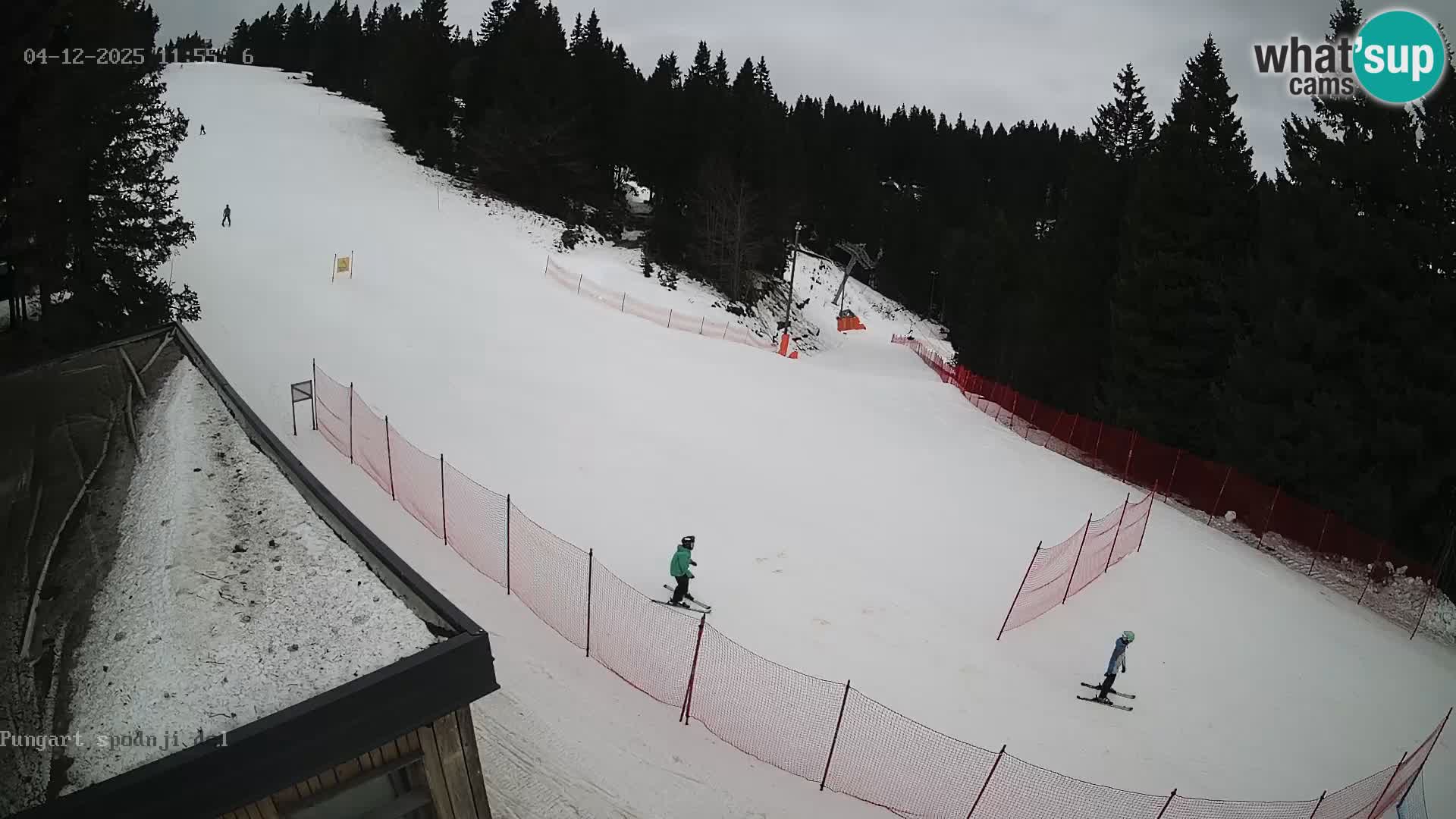 Spletna kamera Kope – Pungart v živo