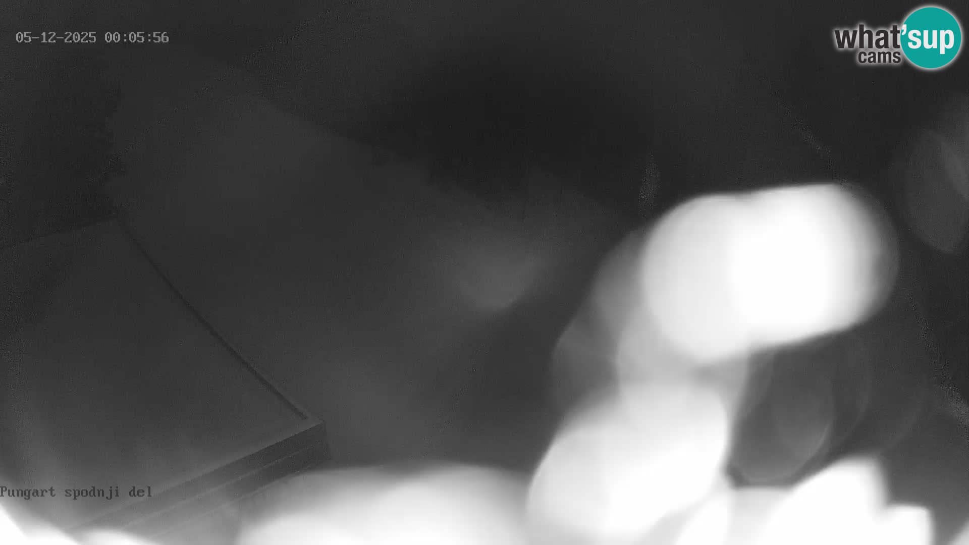 Kope Ski Resort – Webcam Pungart in diretta