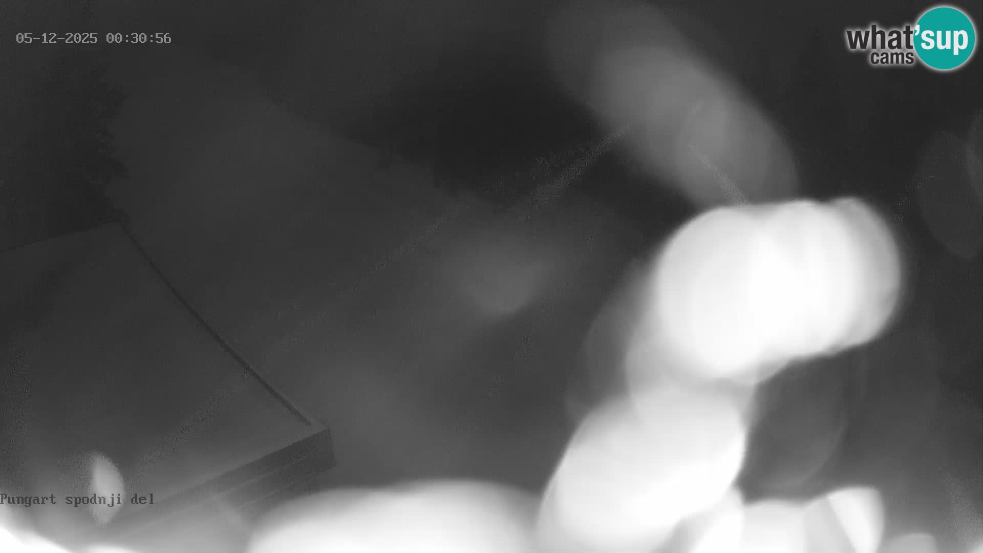 Kope Ski Resort – Webcam Pungart en direct