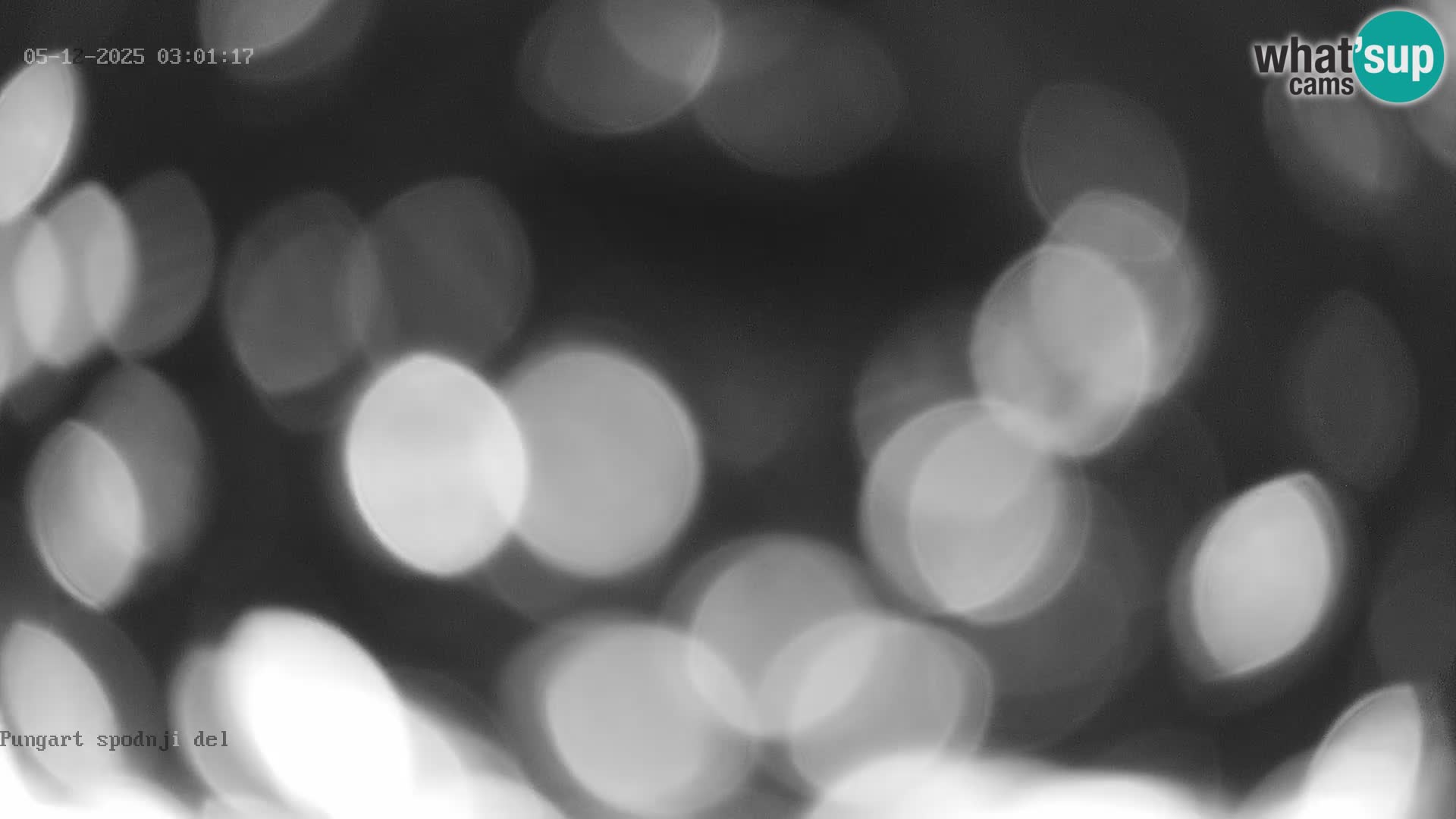 Kope Ski Resort – Pungart Live Webcam