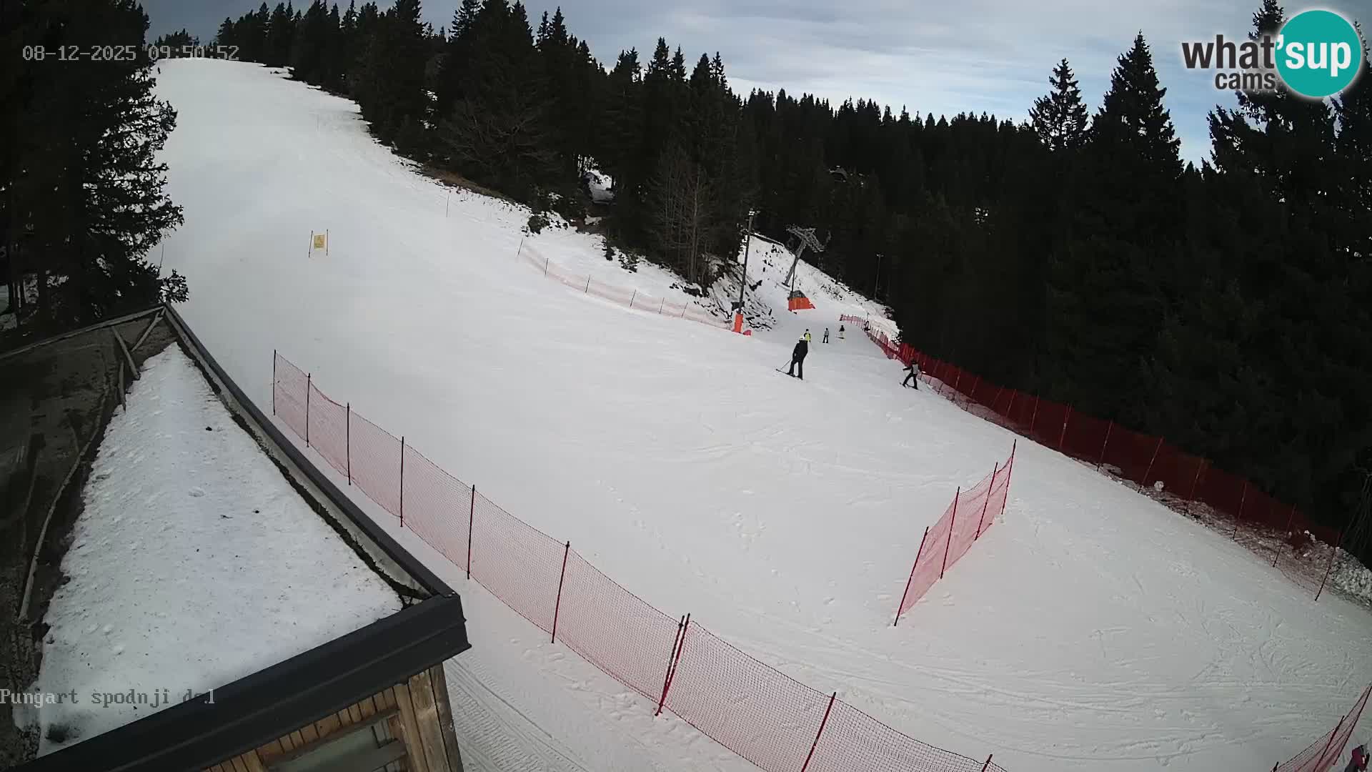 Spletna kamera Kope – Pungart v živo