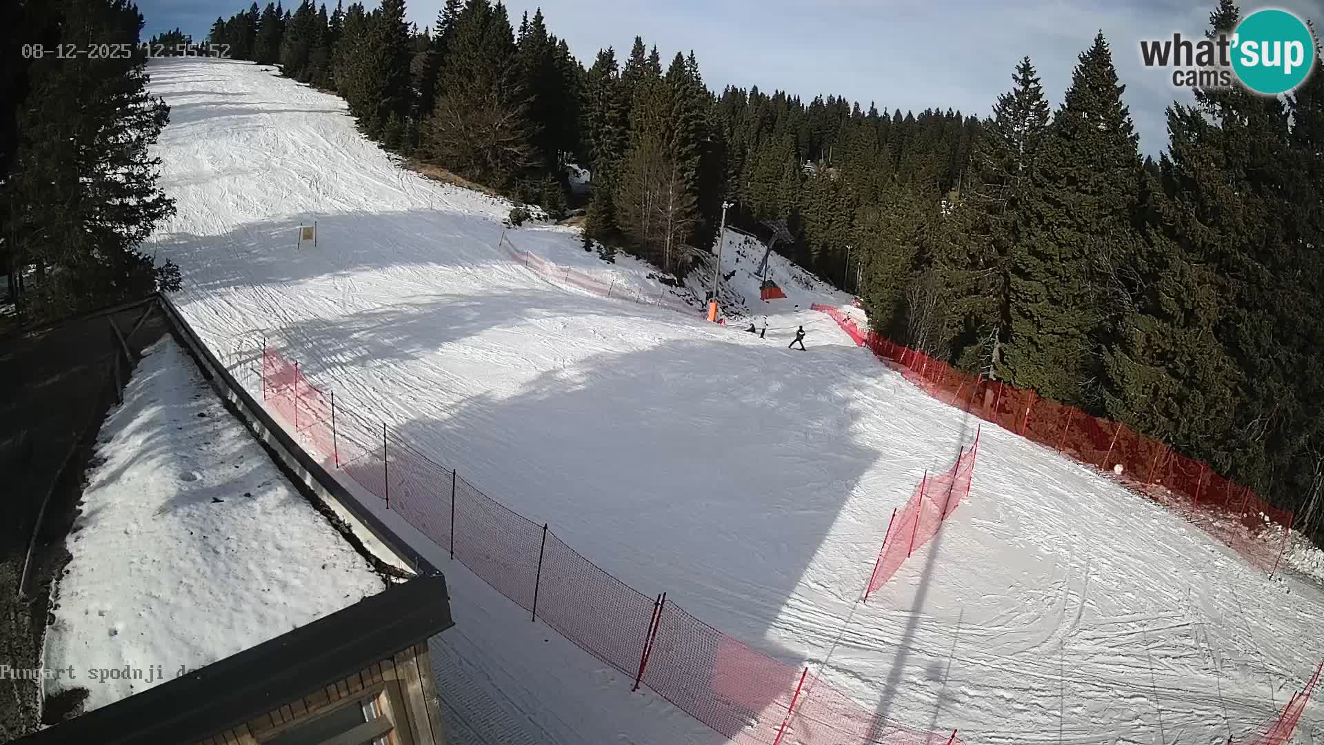 Spletna kamera Kope – Pungart v živo