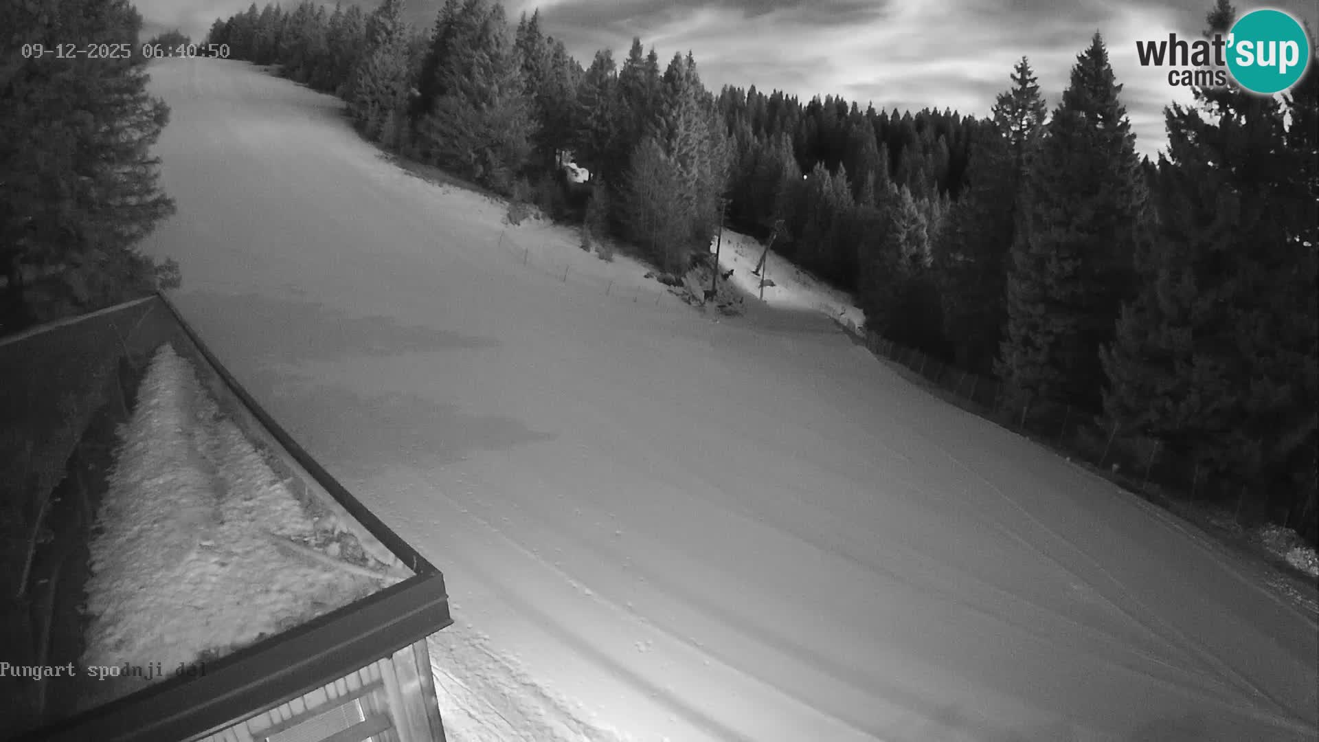 Kope Ski Resort – Pungart Live Webcam